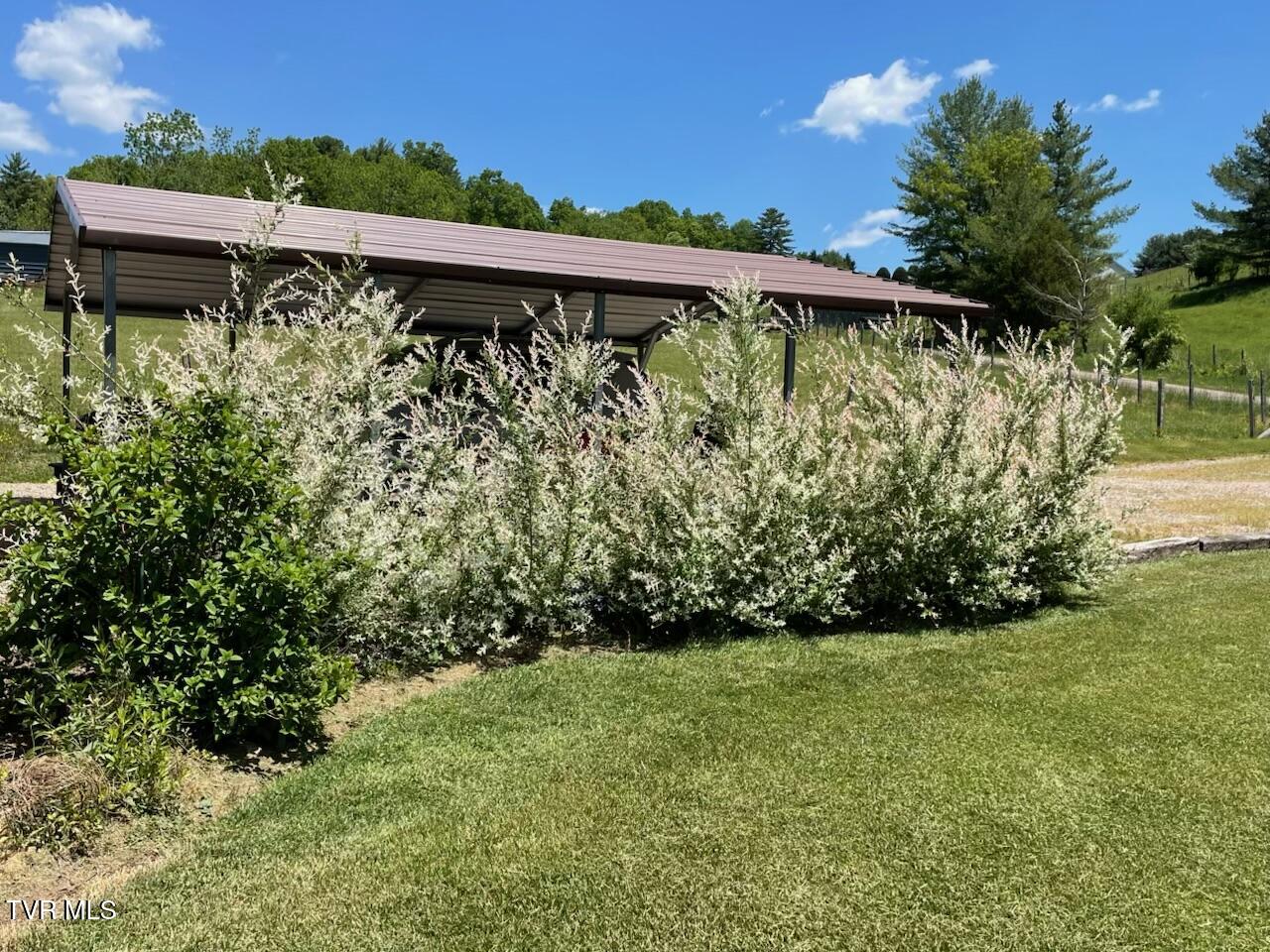 1110 Miller Road, Mountain City, Tennessee image 7