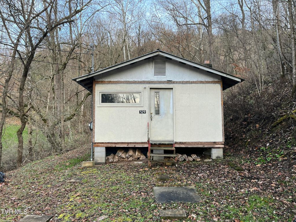 Photo of 529 Stallard Lawson Cemetary Lane Lane, Fort Blackmore, VA 24250 (MLS # 9988551)