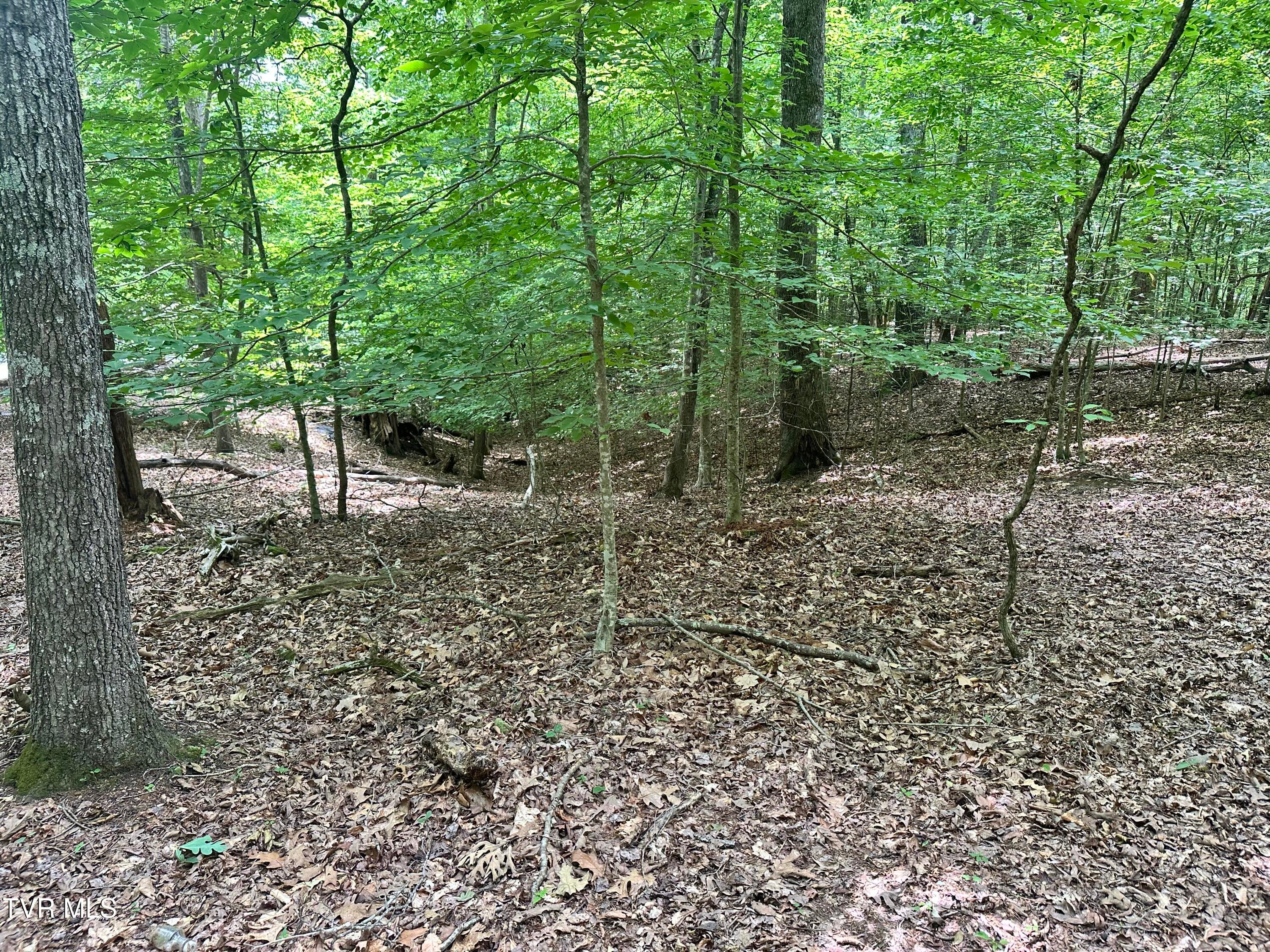8 Woods Ridge Road