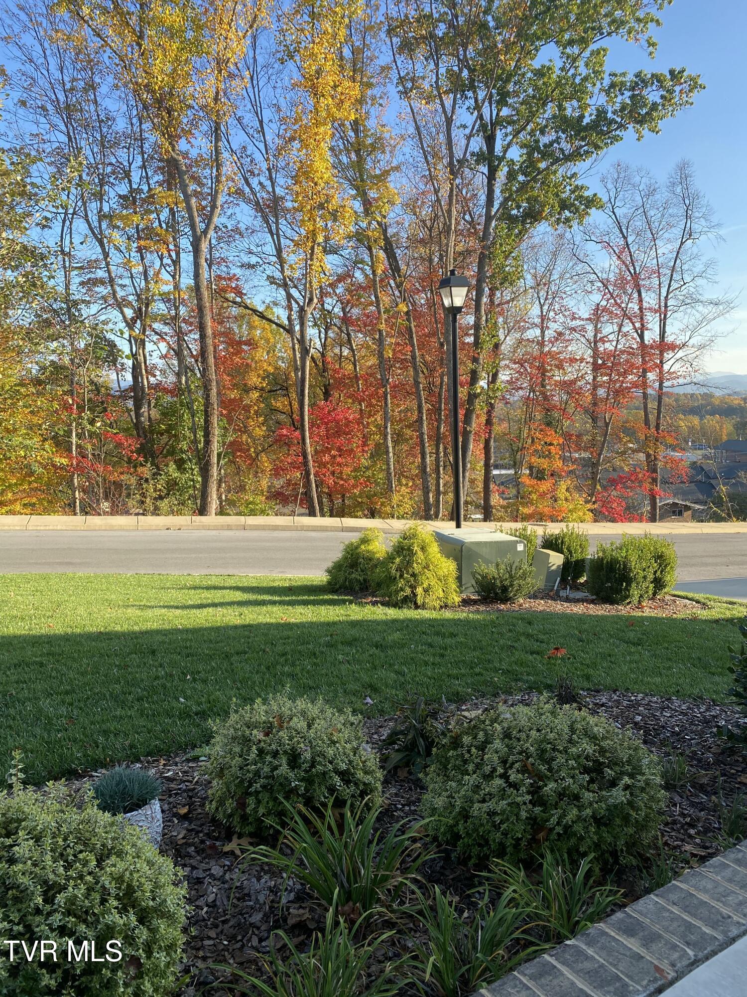 365 English Ivy Trail, Jonesborough, Tennessee image 27
