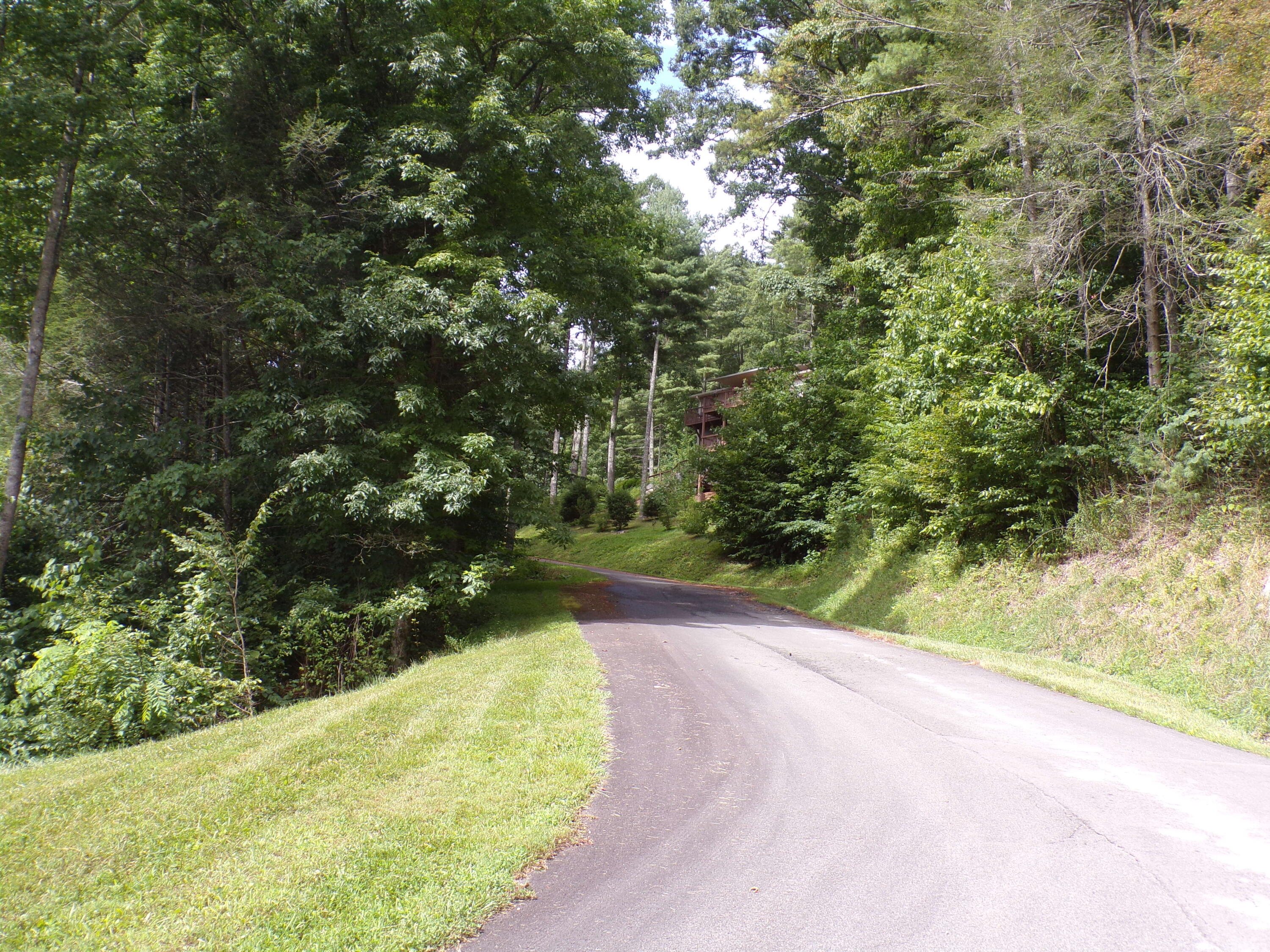 Lot 33 Lake Ridge Subdivision, Butler, Tennessee image 2
