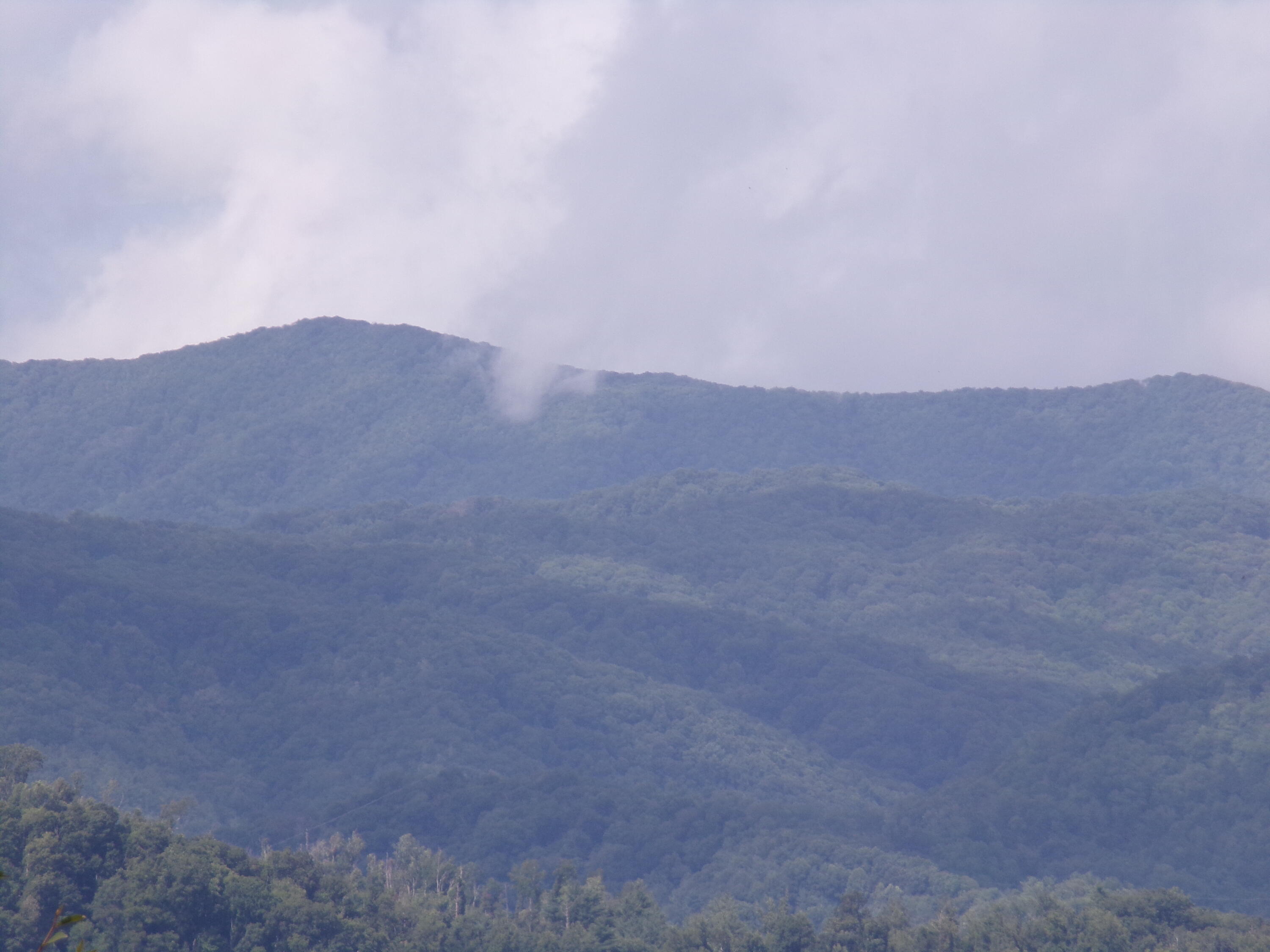 Lot 33 Lake Ridge Subdivision, Butler, Tennessee image 7