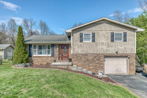 Photo of 307 Sawyer Circle, Bluff City, TN 37618 (MLS # 9993079)