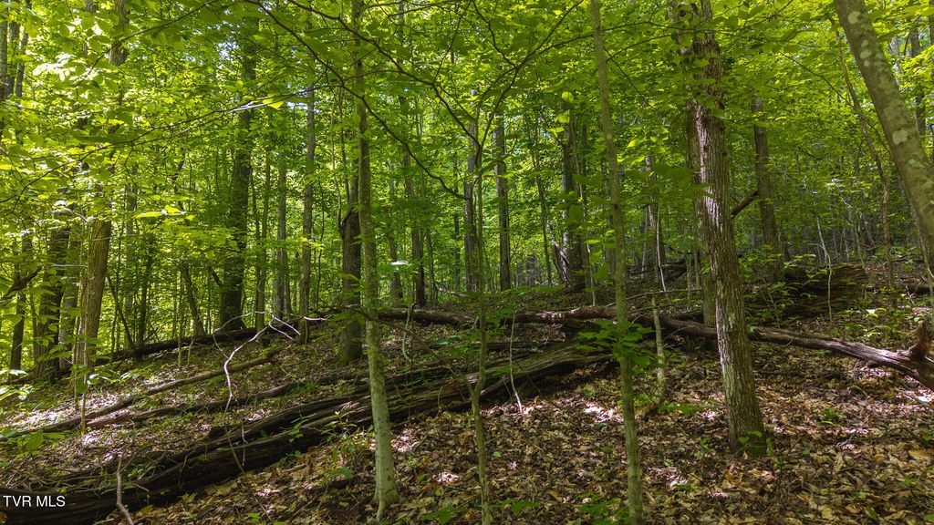 Photo of 187 Cottage Lane, New Tazewell, TN 37825 (MLS # 9992505)