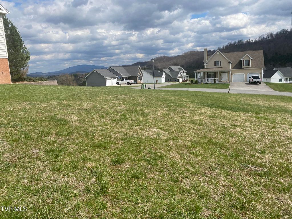 Photo of 17 Riley Street, Lebanon, VA 24266 (MLS # 9980296)