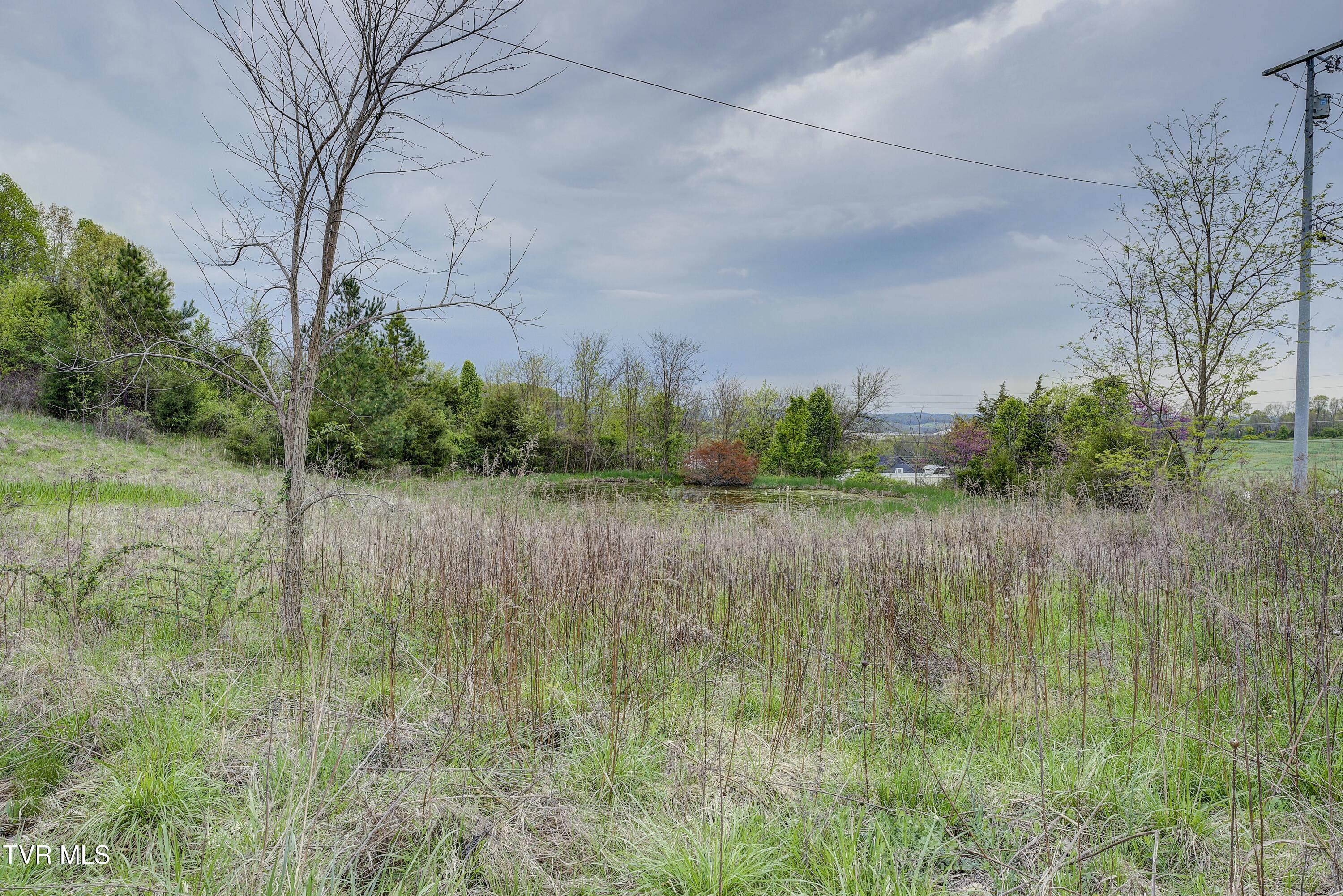133 Telford Road, Telford, Tennessee image 29