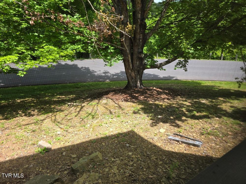 118 Willowbrook Drive Drive, Kingsport, Tennessee image 18