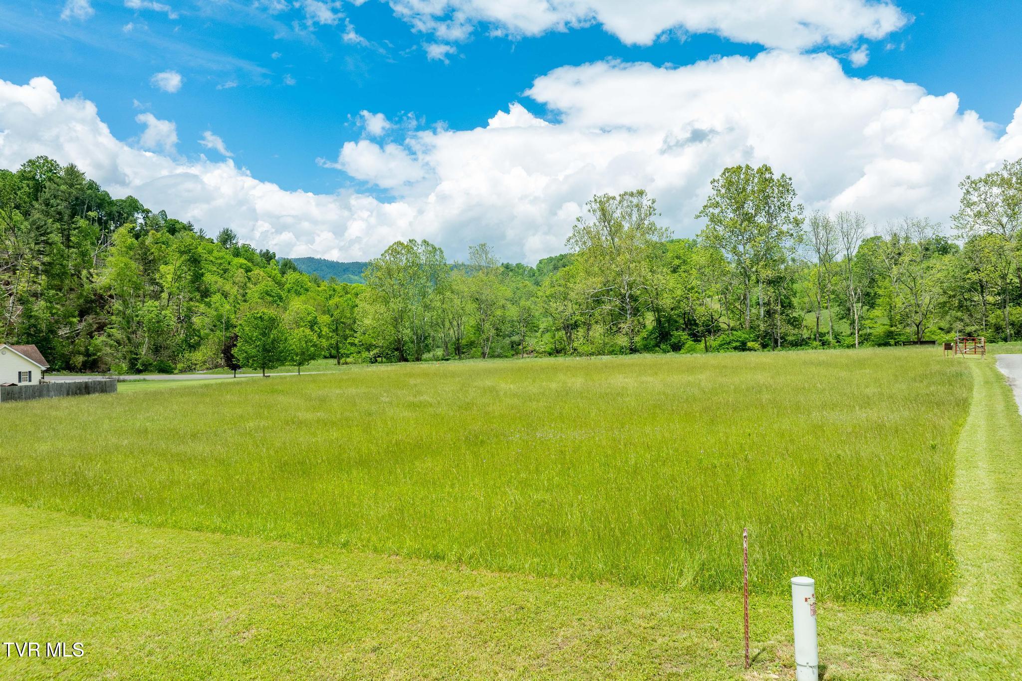 234 Old Dyer Farm Private Lane, Mountain City, Tennessee image 20
