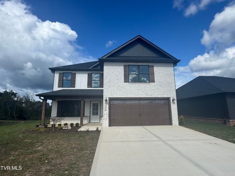 Photo of 224 Dry Kiln Court, Johnson City, TN 37615 (MLS # 9986489)