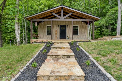 Photo of 455 Okey Mowell Road, Kingsport, TN 37660 (MLS # 9995614)