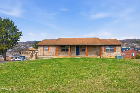 Photo of 222 Old Stage Drive, Bristol, TN 37620 (MLS # 9992002)