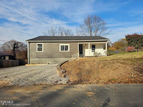 Photo of 209 Paperville Road, Bristol, TN 37620 (MLS # 9988097)