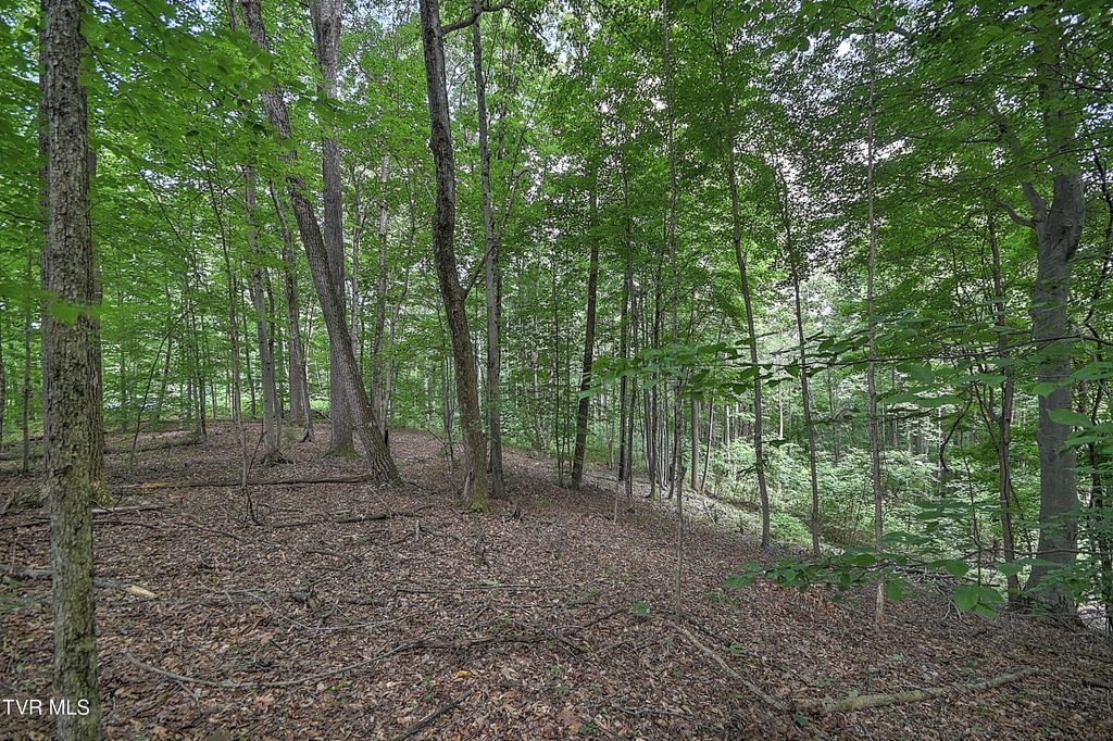 Photo of 1 Payne Ridge Road, Church Hill, TN 37642 (MLS # 9983181)