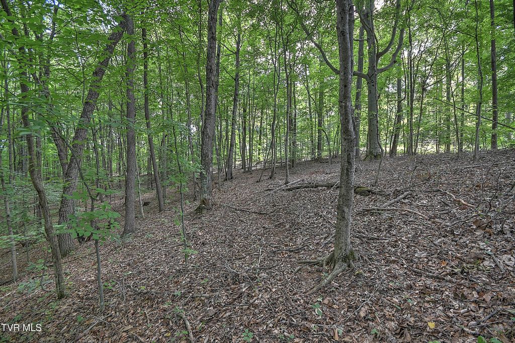 Photo of 1 Payne Ridge Road, Church Hill, TN 37642 (MLS # 9983181)