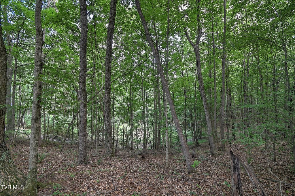 Photo of 1 Payne Ridge Road, Church Hill, TN 37642 (MLS # 9983181)