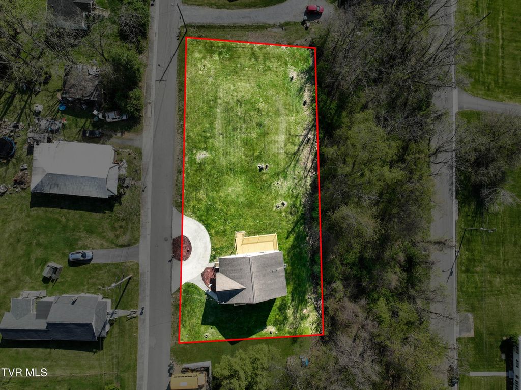 Photo of 245 Leonard Street, Abingdon, VA 24210 (MLS # 9993897)