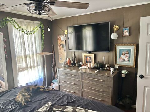 Tiny photo for 2504 Elizabethton Highway, Johnson City, TN 37601 (MLS # 9986422)
