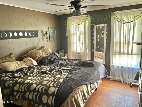 Tiny photo for 2504 Elizabethton Highway, Johnson City, TN 37601 (MLS # 9986422)