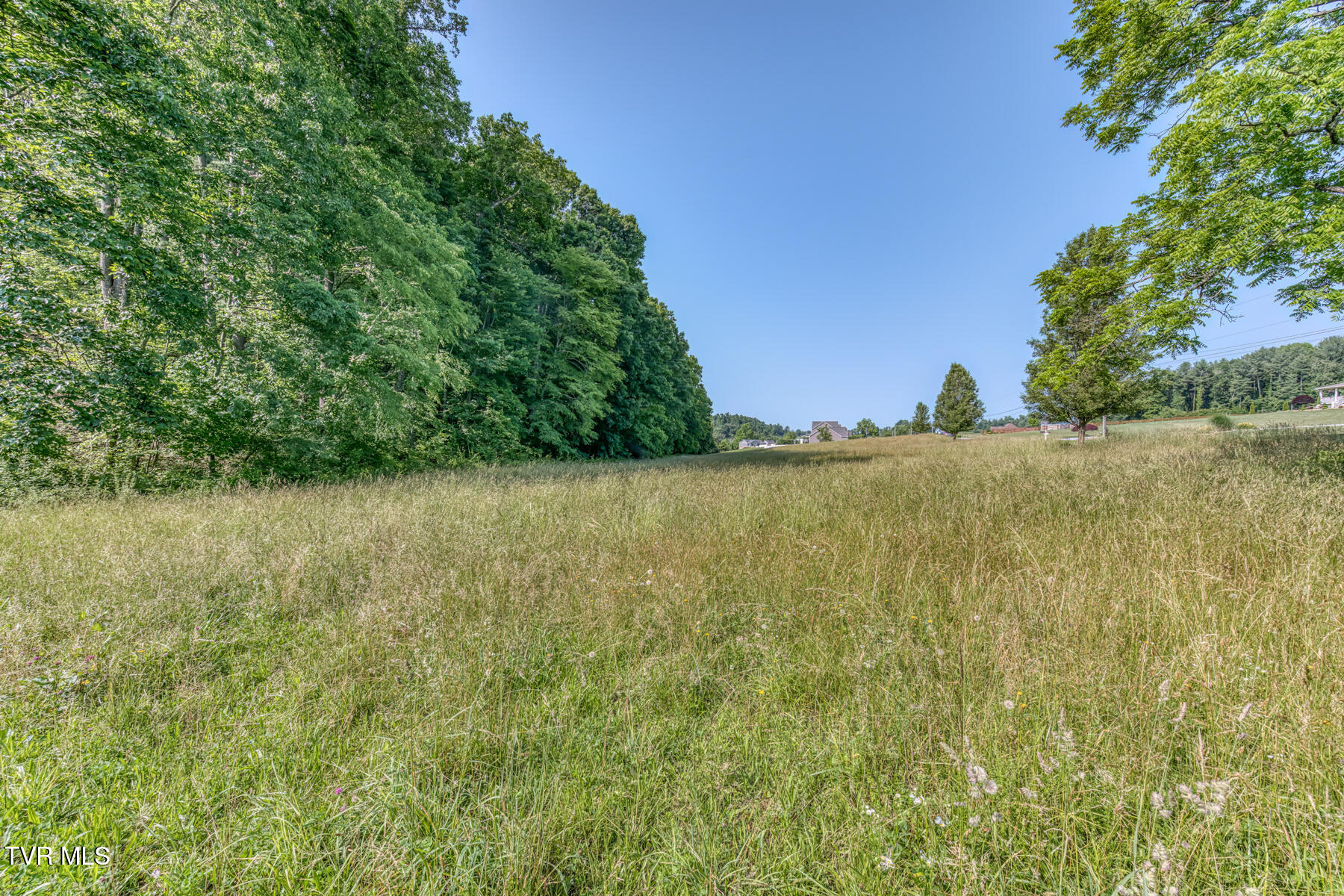 Tbd Cleveland Road, Abingdon, Virginia image 11