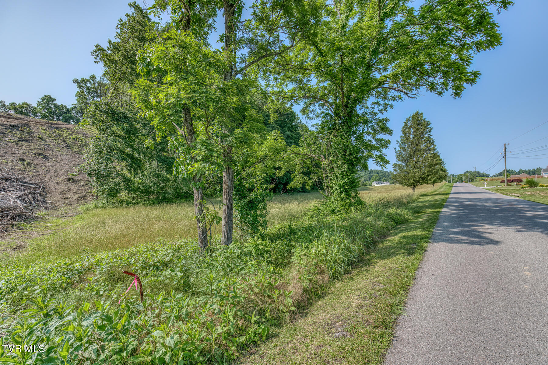 Tbd Cleveland Road, Abingdon, Virginia image 10
