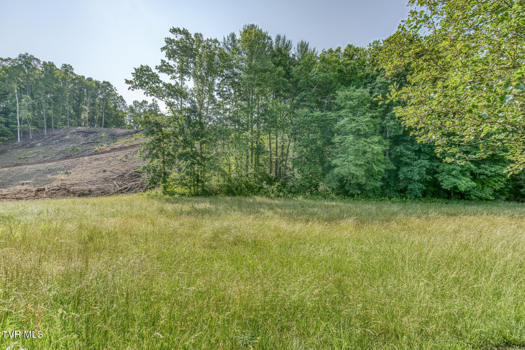 Tbd Cleveland Road, Abingdon, Virginia image 13
