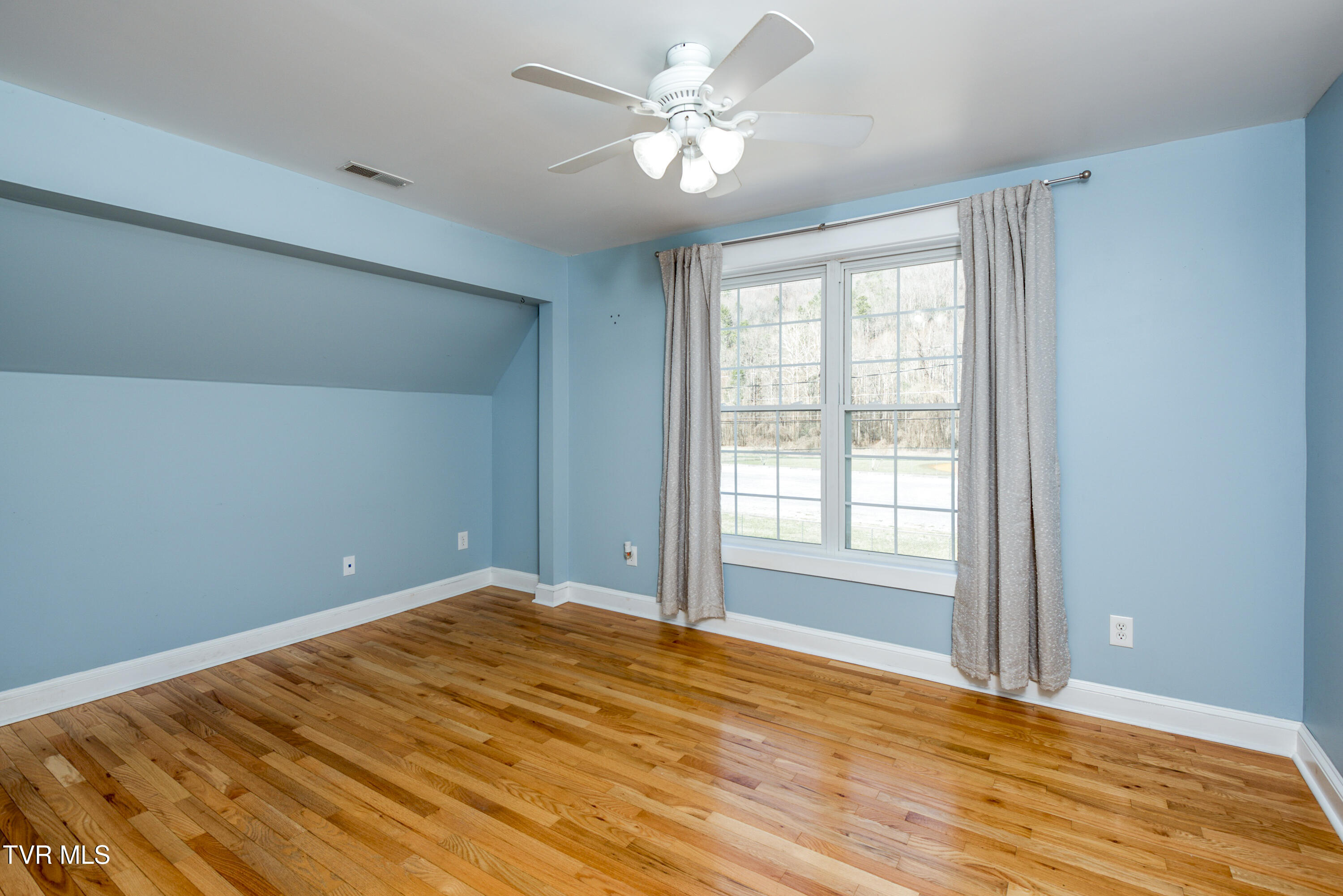 1022 Shady Avenue, Damascus, Virginia image 23
