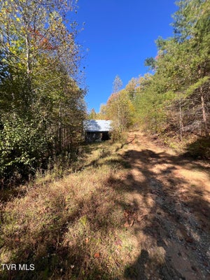 184 CHARLIE HARRELL LN, HAMPTON, TN 37658 - Image a2e988b600d131b0e9e558ba0d5f84e5/596486490