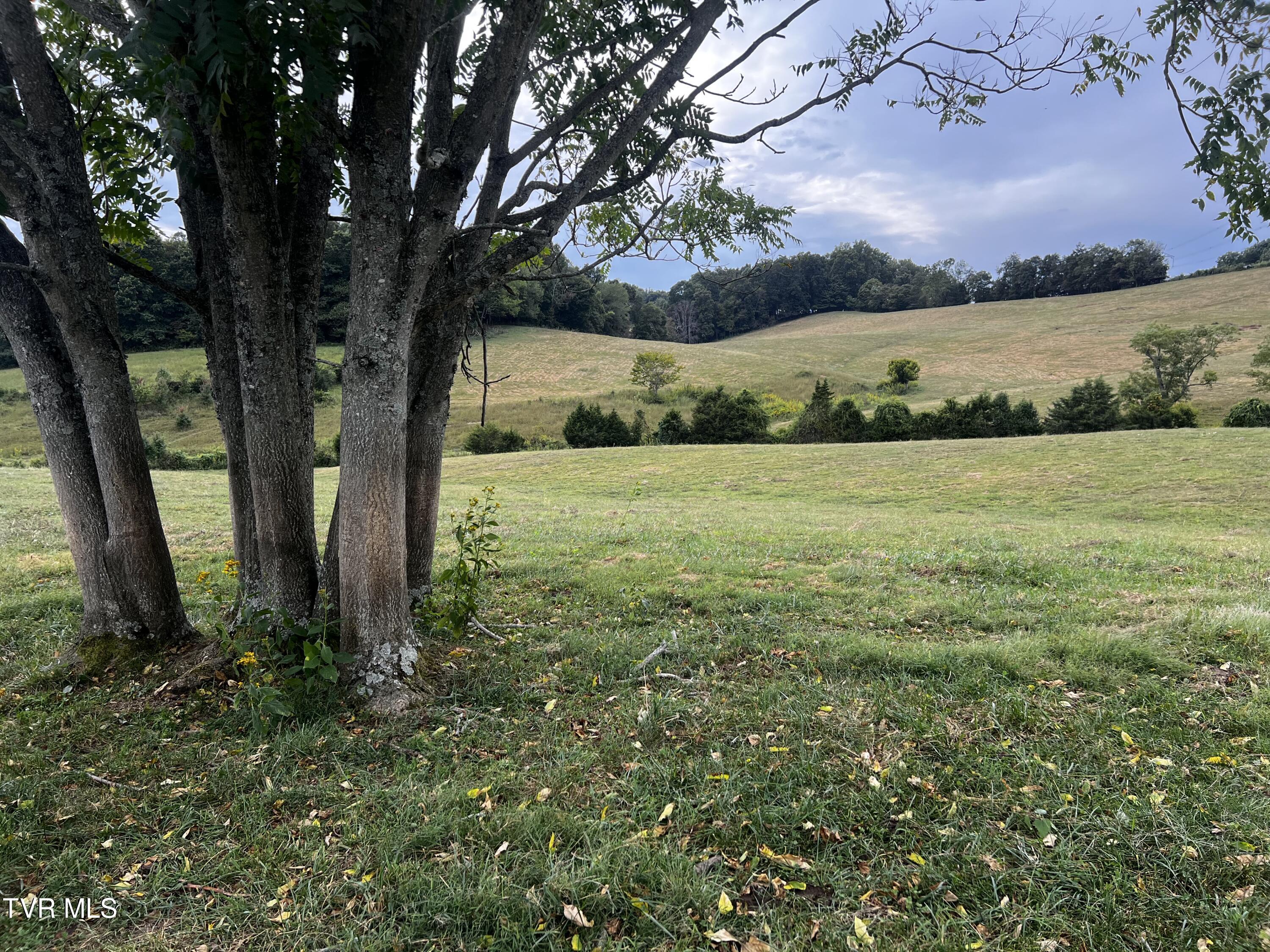 88/Ac Tbd Hwy 93, Fall Branch, Tennessee image 48