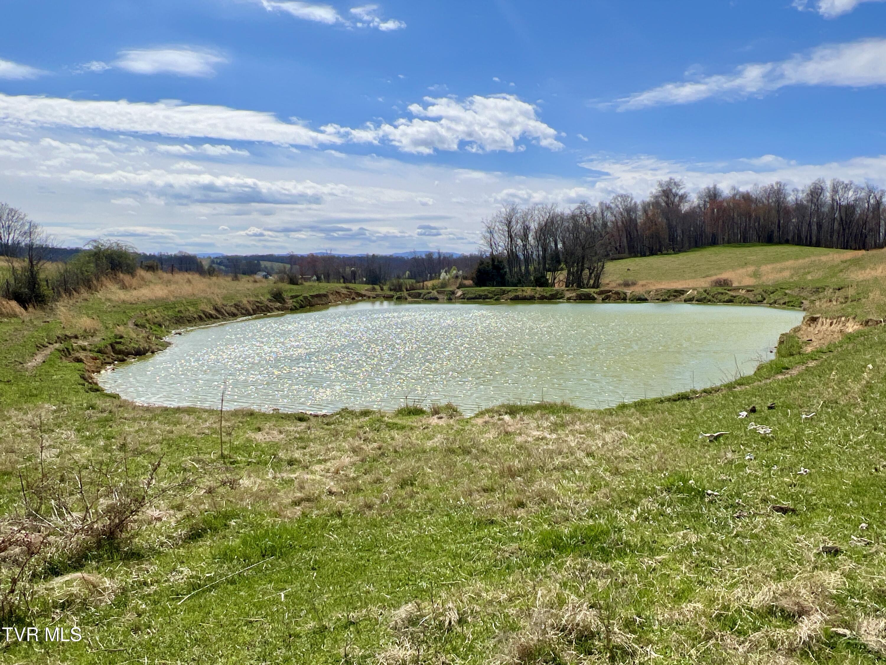 88/Ac Tbd Hwy 93, Fall Branch, Tennessee image 4
