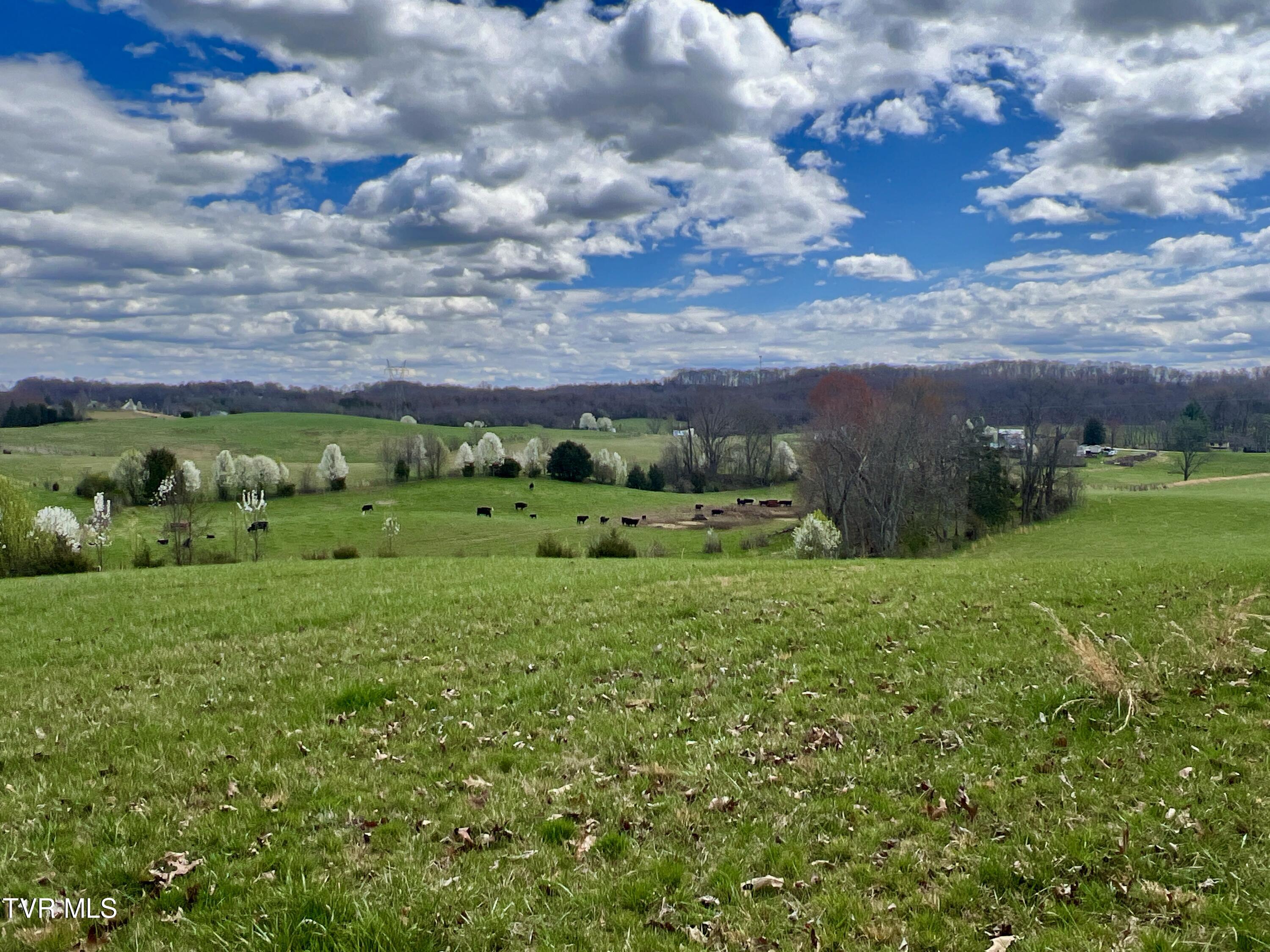 88/Ac Tbd Hwy 93, Fall Branch, Tennessee image 1