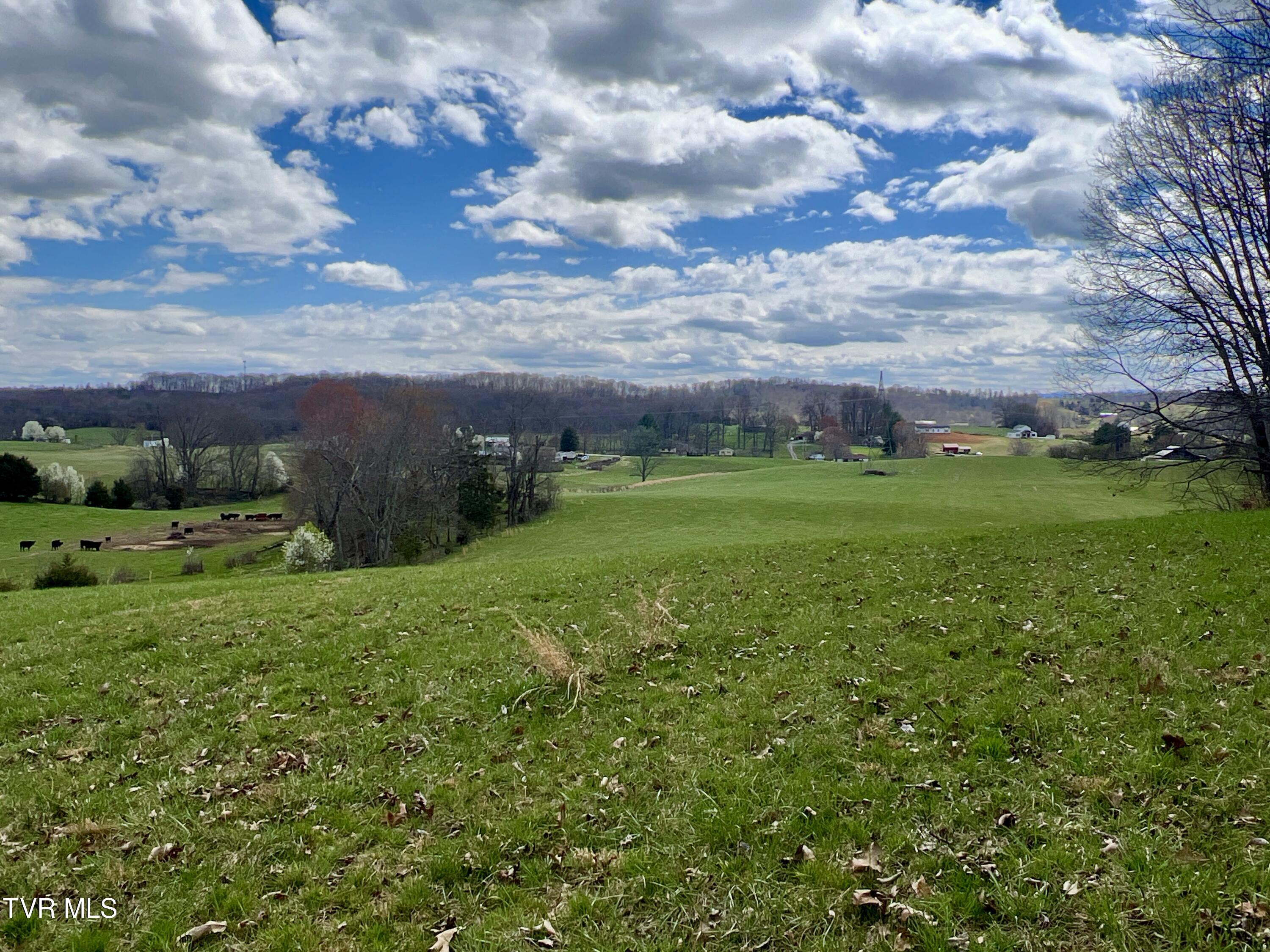 88/Ac Tbd Hwy 93, Fall Branch, Tennessee image 18