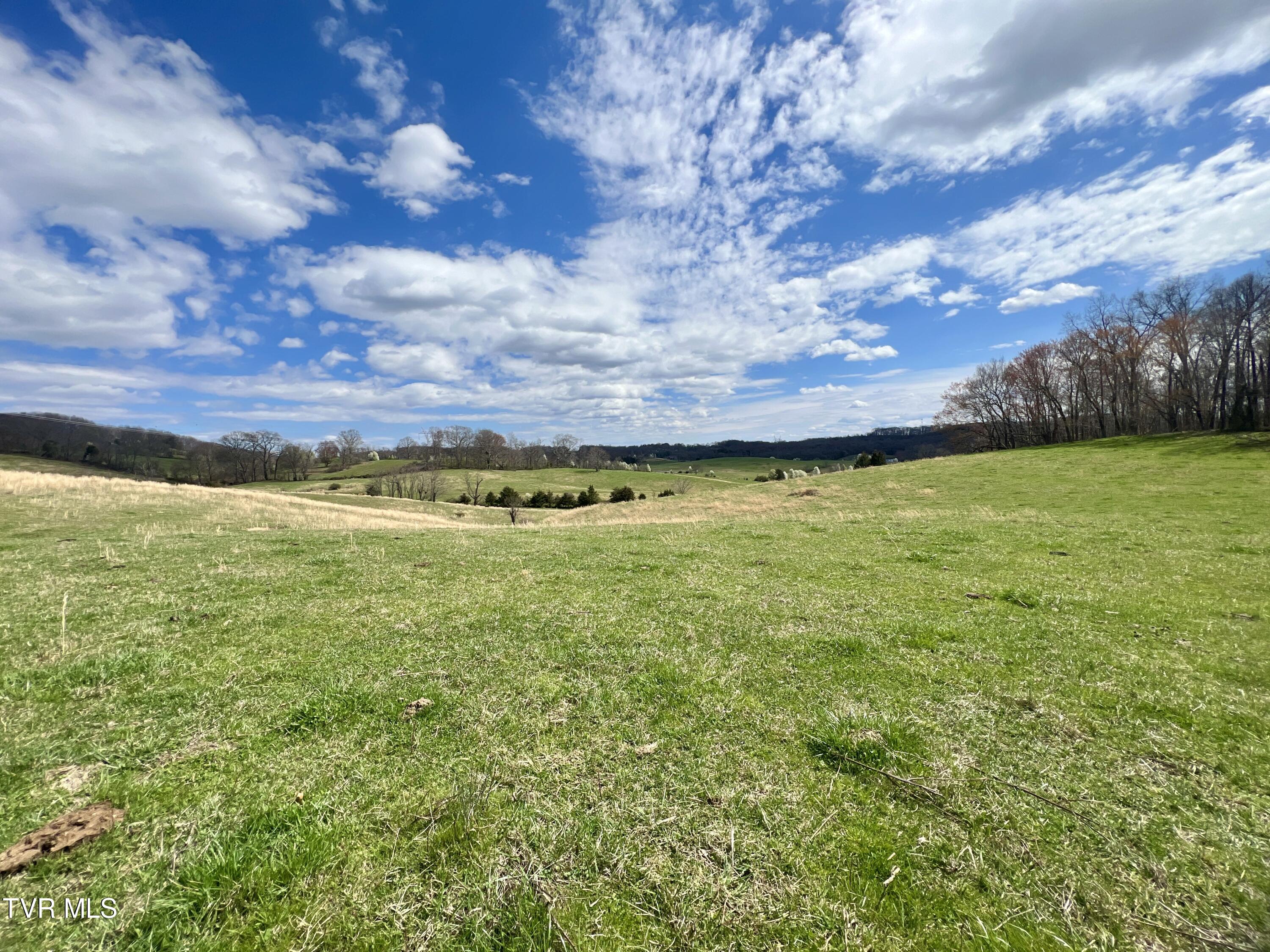 88/Ac Tbd Hwy 93, Fall Branch, Tennessee image 26