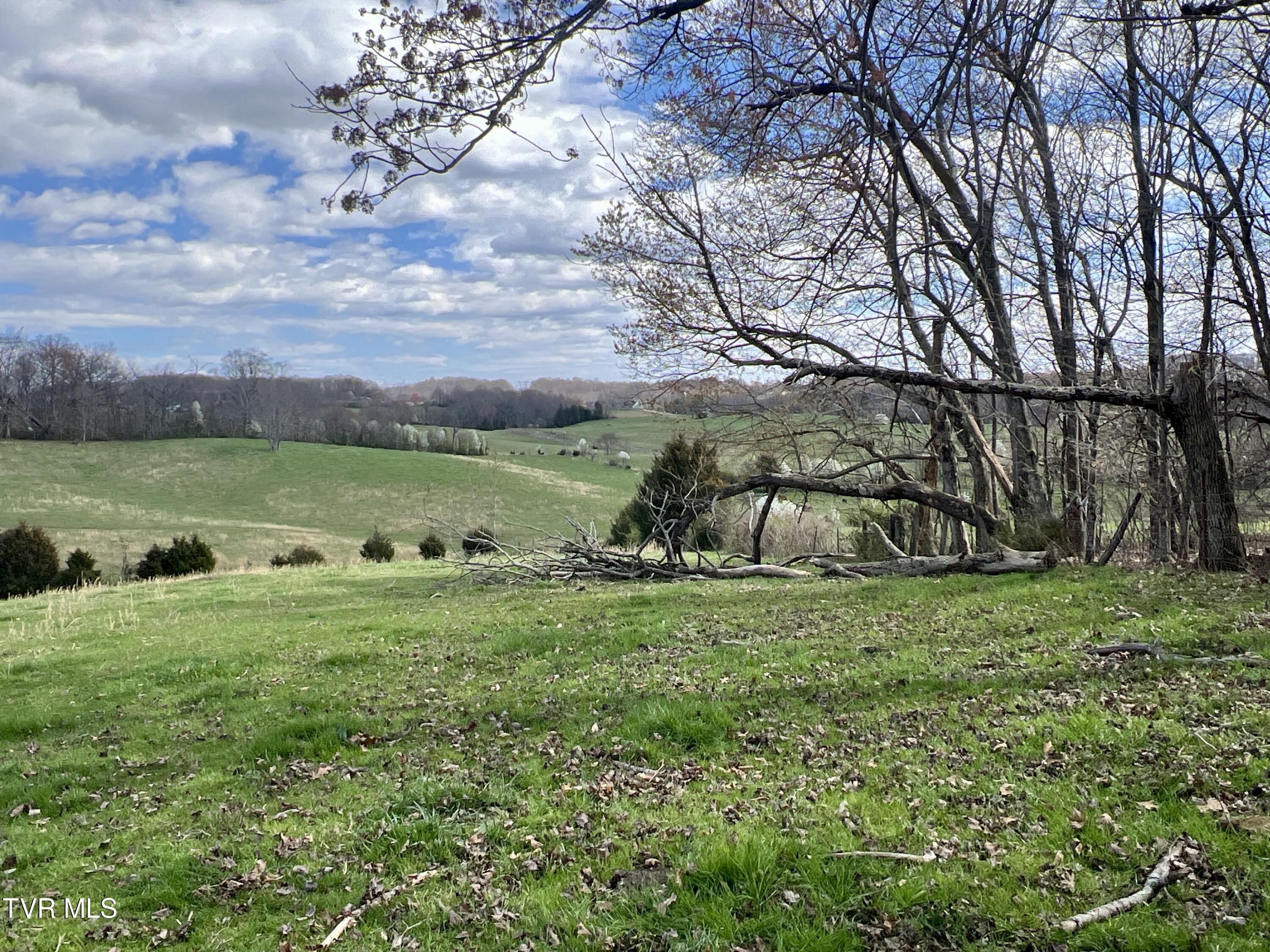 88/Ac Tbd Hwy 93, Fall Branch, Tennessee image 22