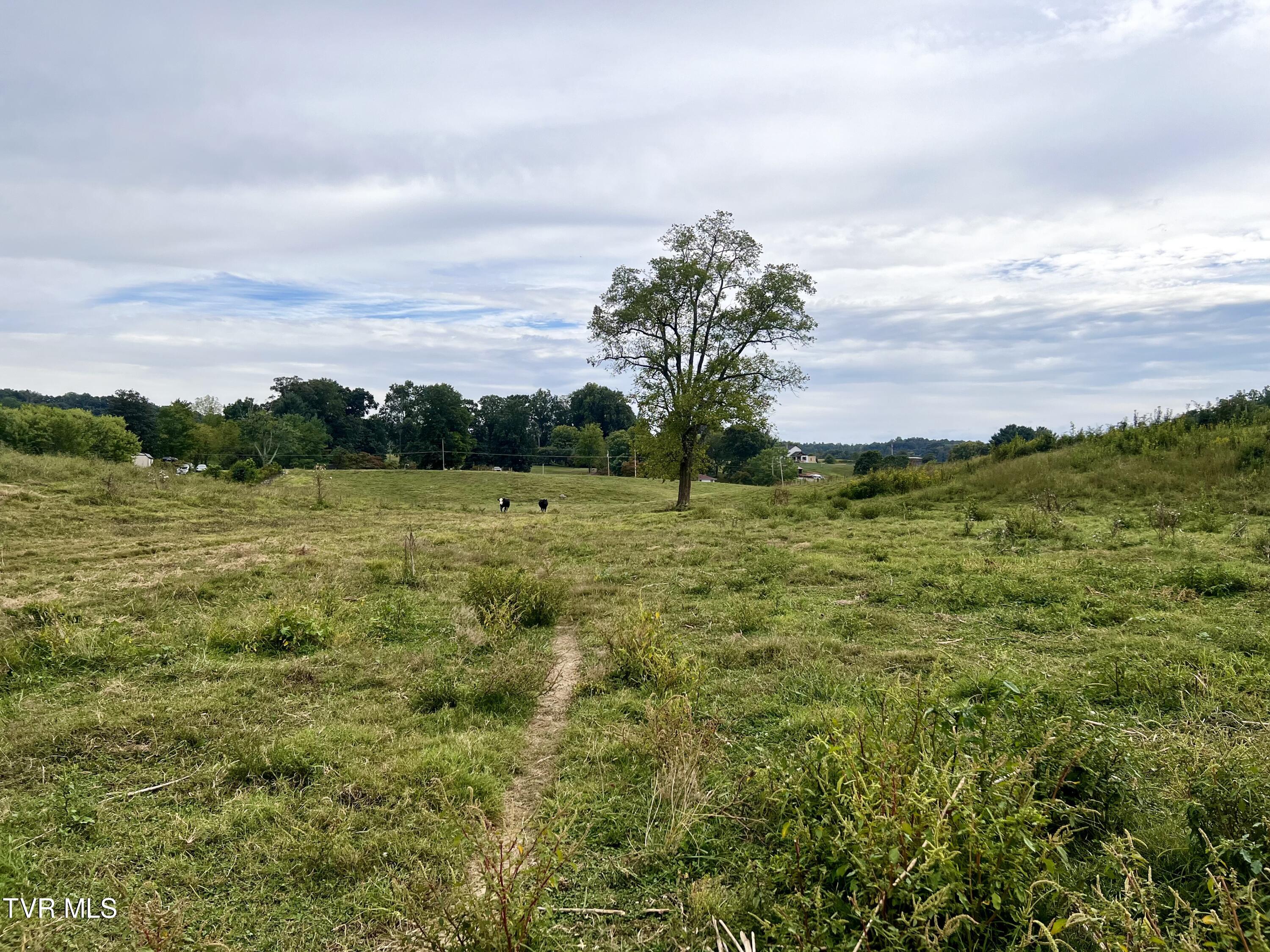 88/Ac Tbd Hwy 93, Fall Branch, Tennessee image 43