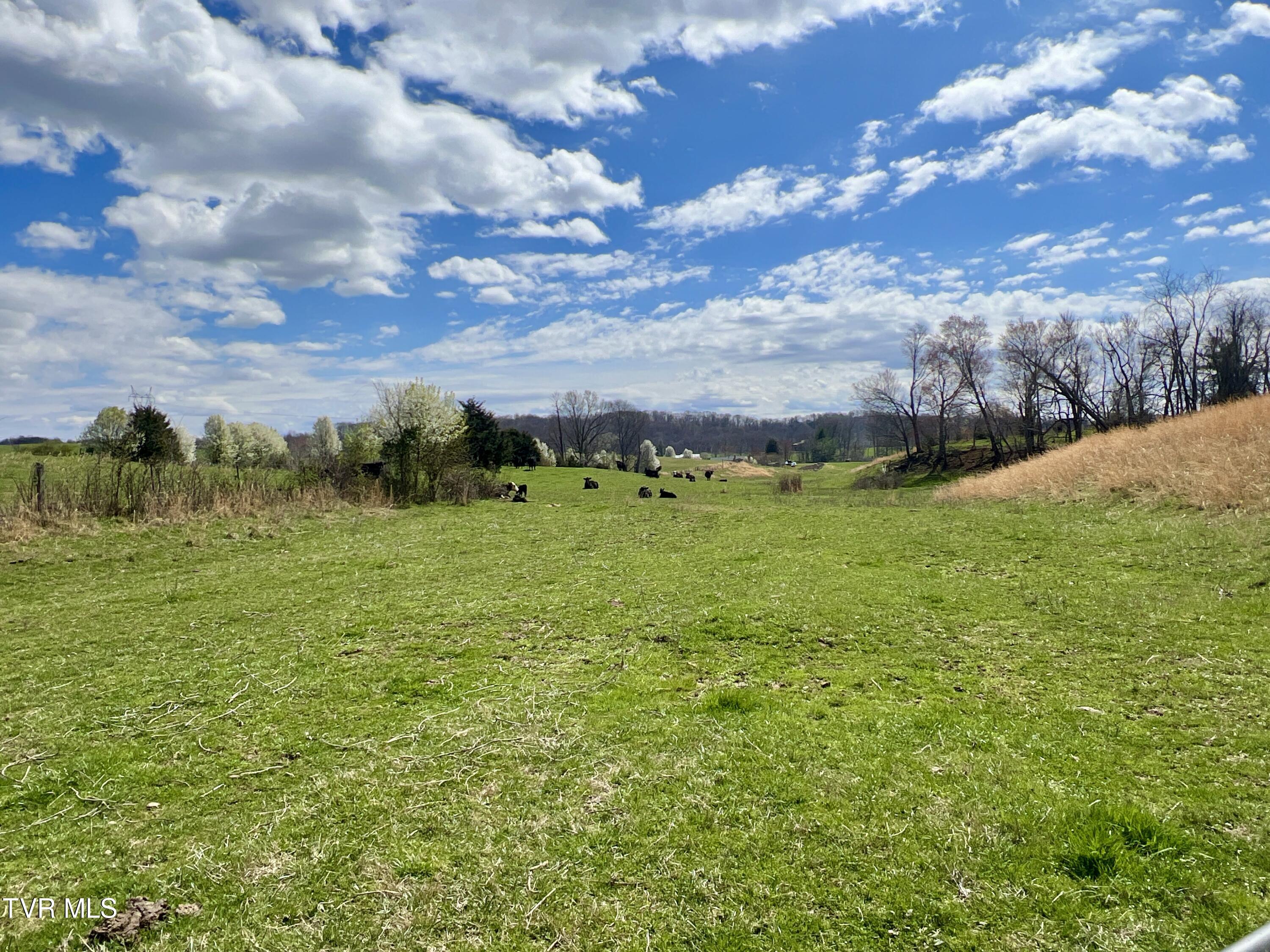 88/Ac Tbd Hwy 93, Fall Branch, Tennessee image 21