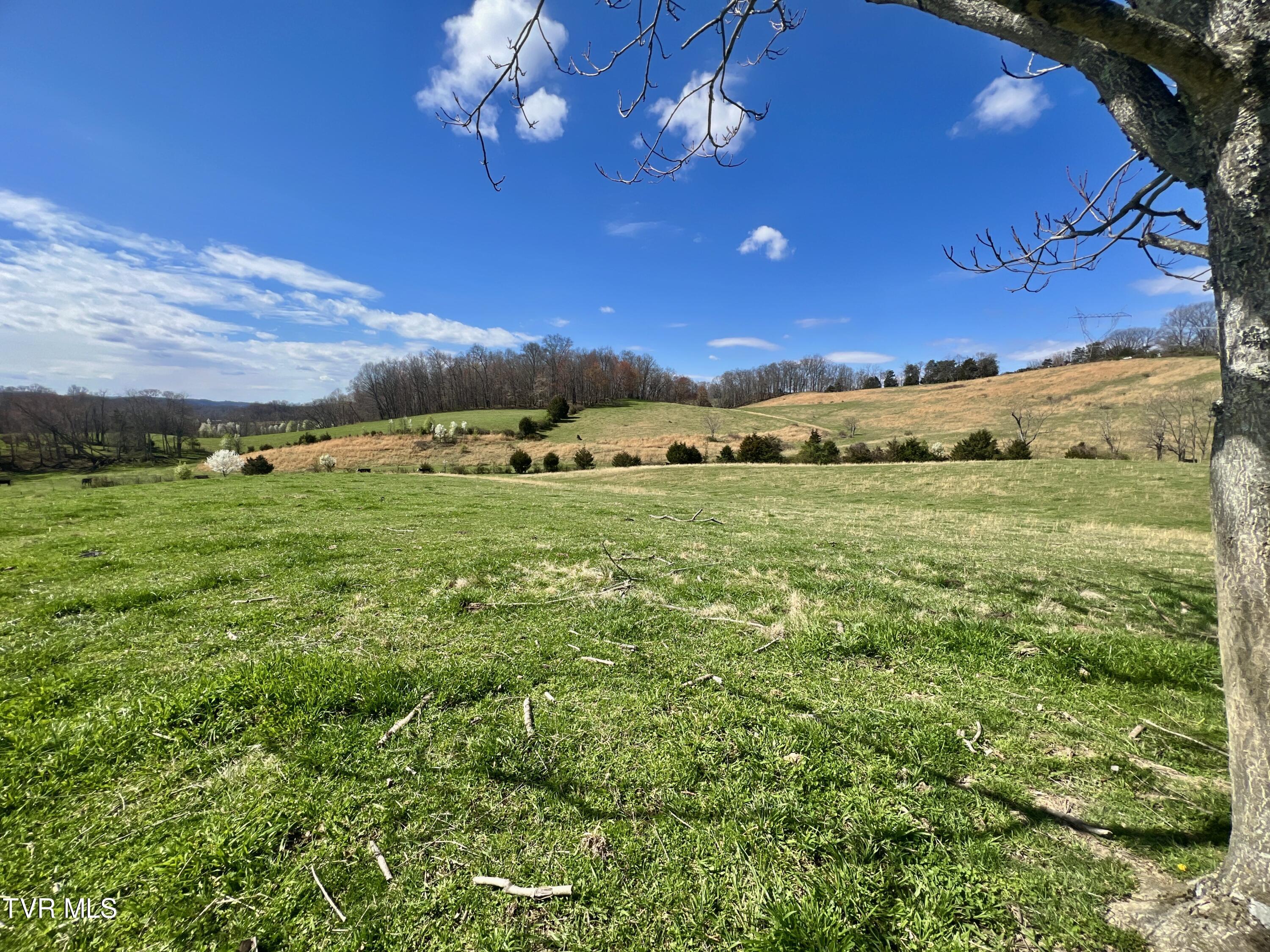 88/Ac Tbd Hwy 93, Fall Branch, Tennessee image 28