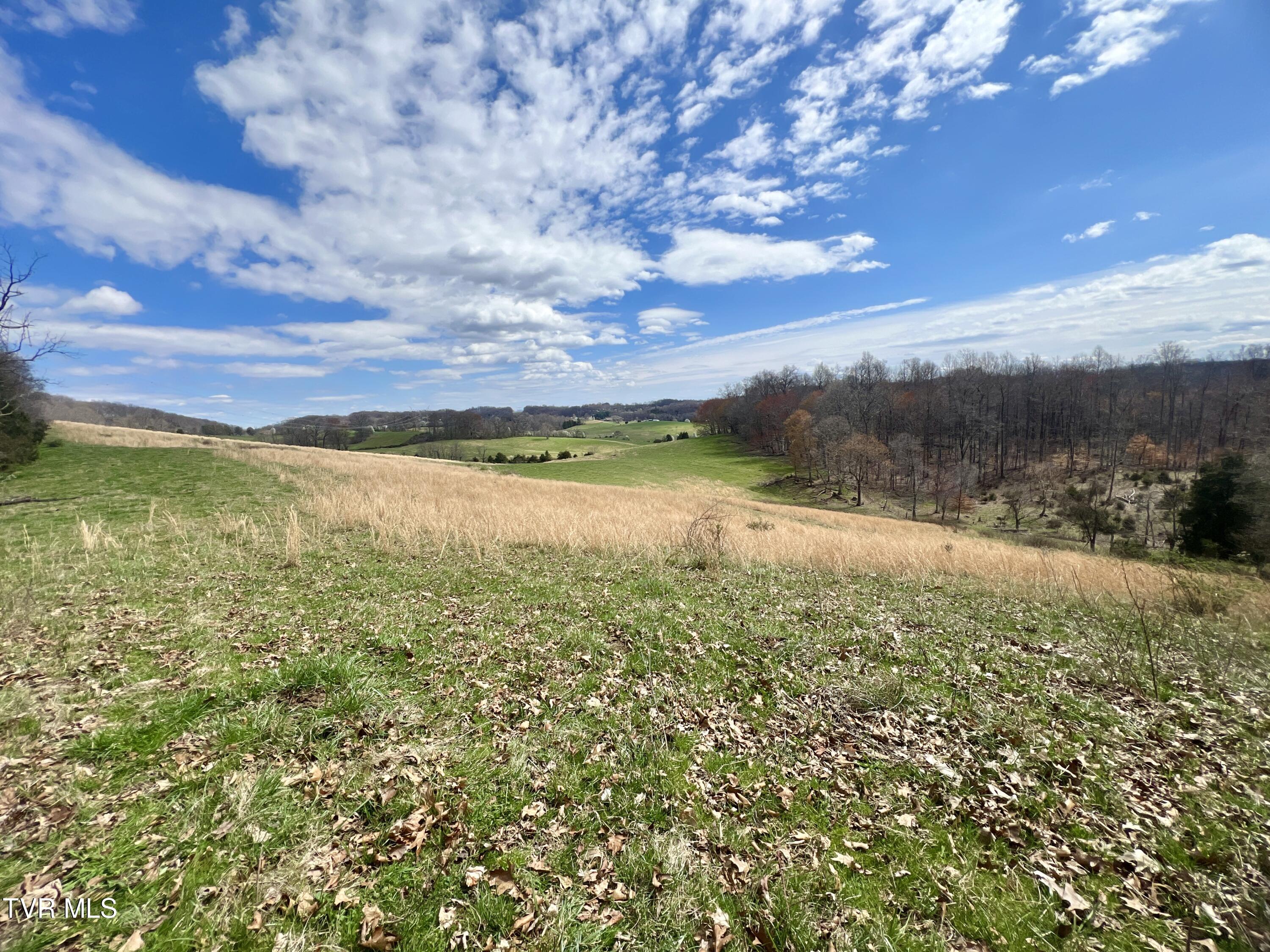 88/Ac Tbd Hwy 93, Fall Branch, Tennessee image 24