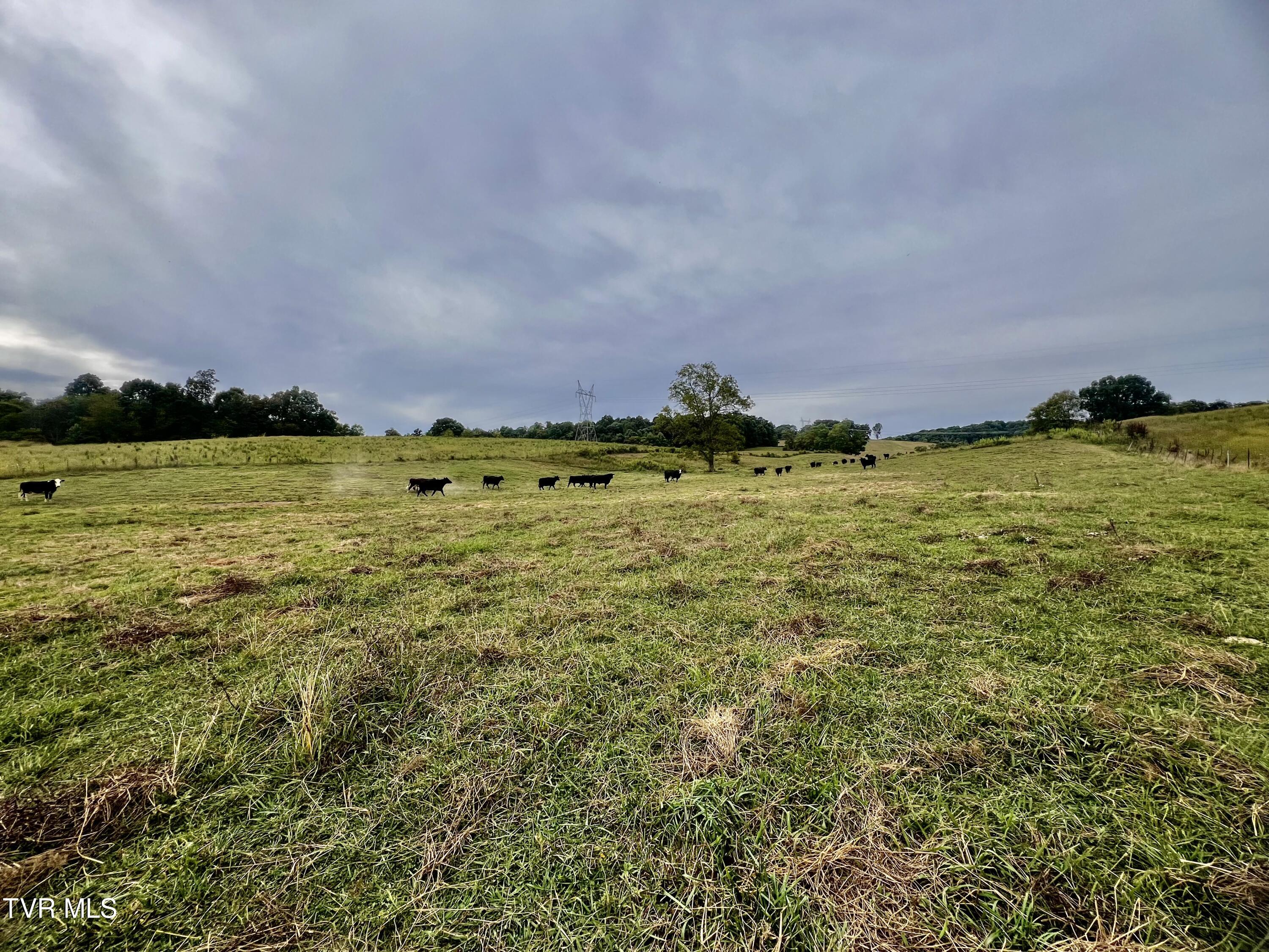 88/Ac Tbd Hwy 93, Fall Branch, Tennessee image 50