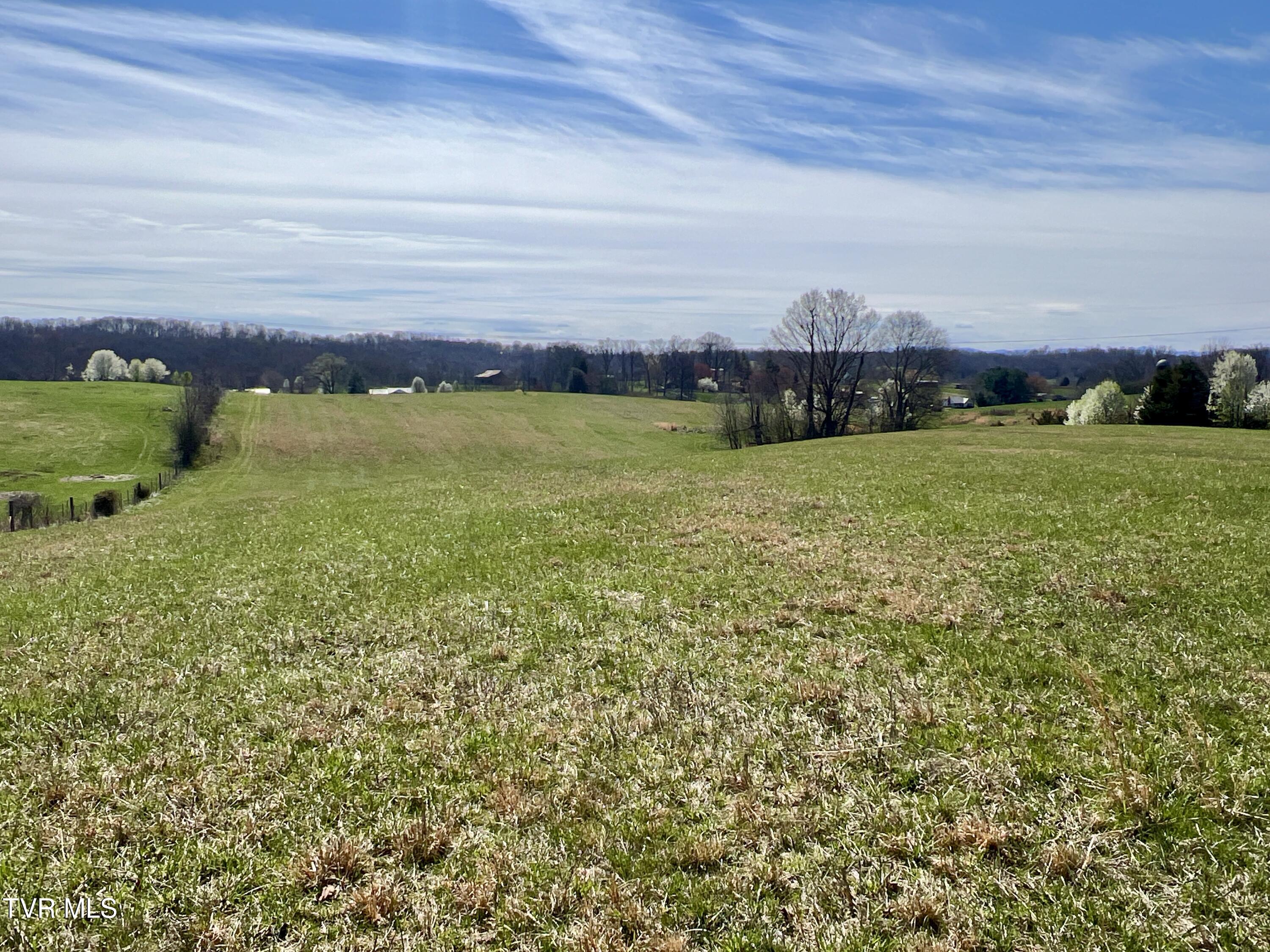 88/Ac Tbd Hwy 93, Fall Branch, Tennessee image 14