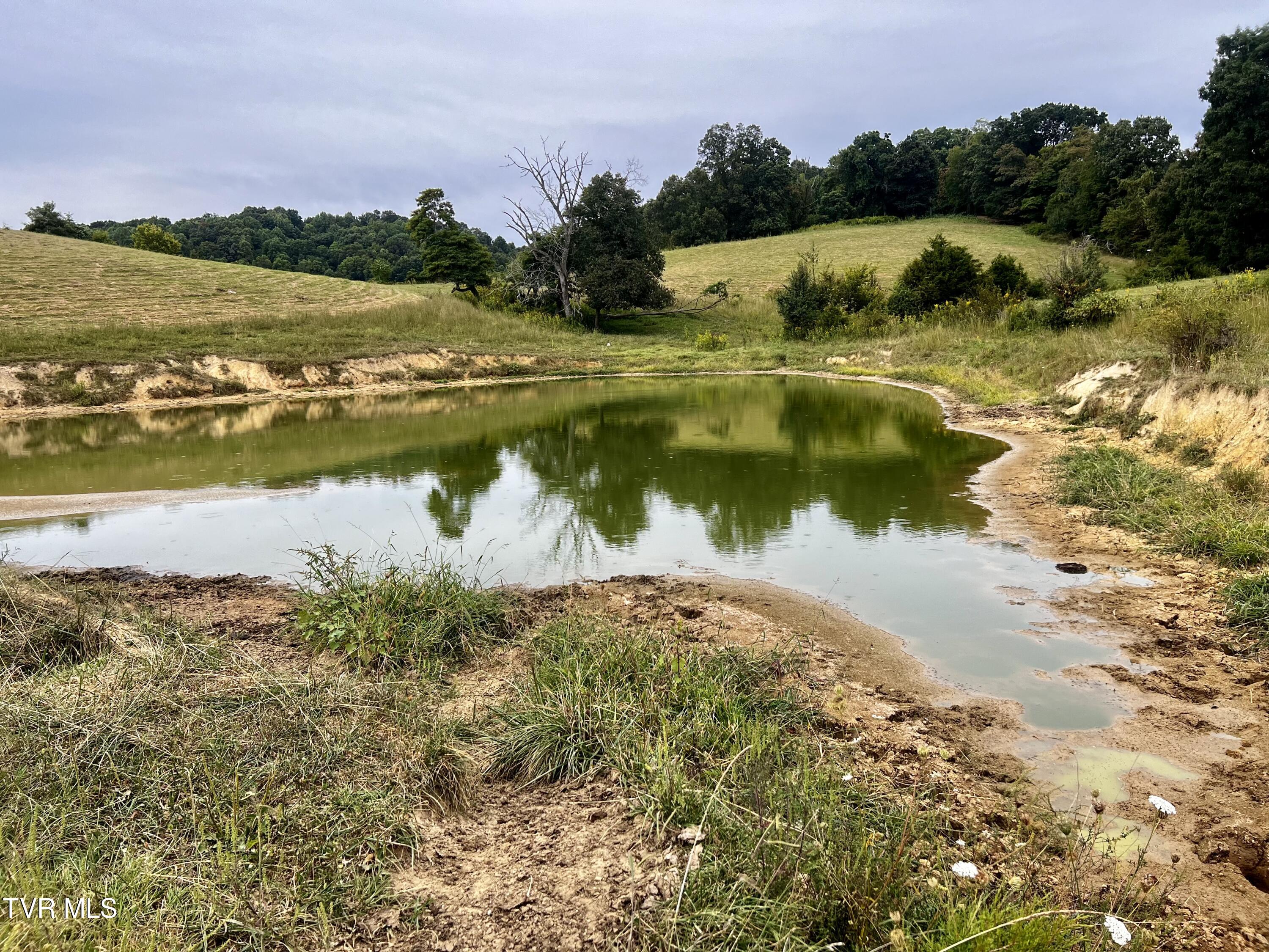88/Ac Tbd Hwy 93, Fall Branch, Tennessee image 37