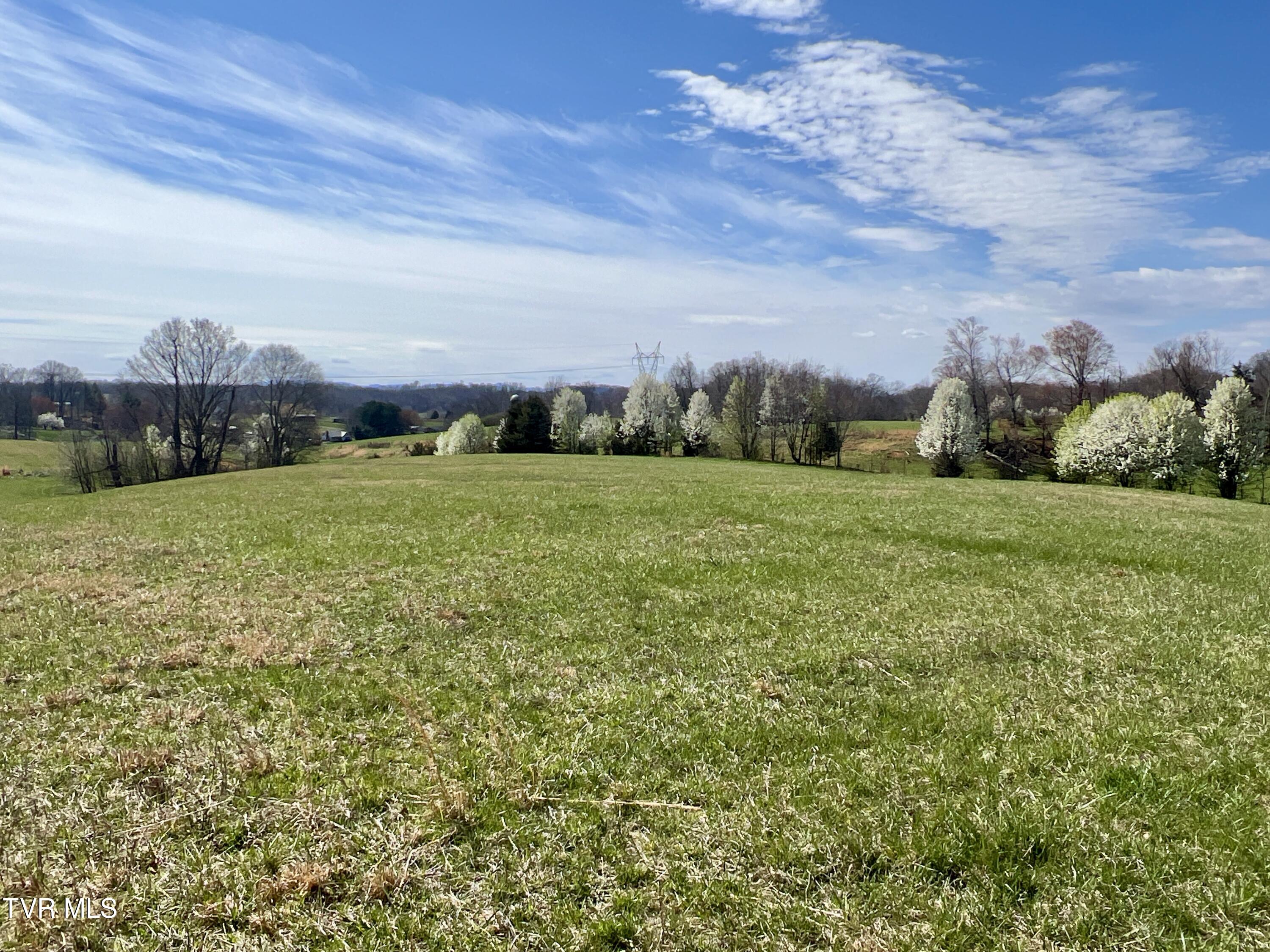 88/Ac Tbd Hwy 93, Fall Branch, Tennessee image 31