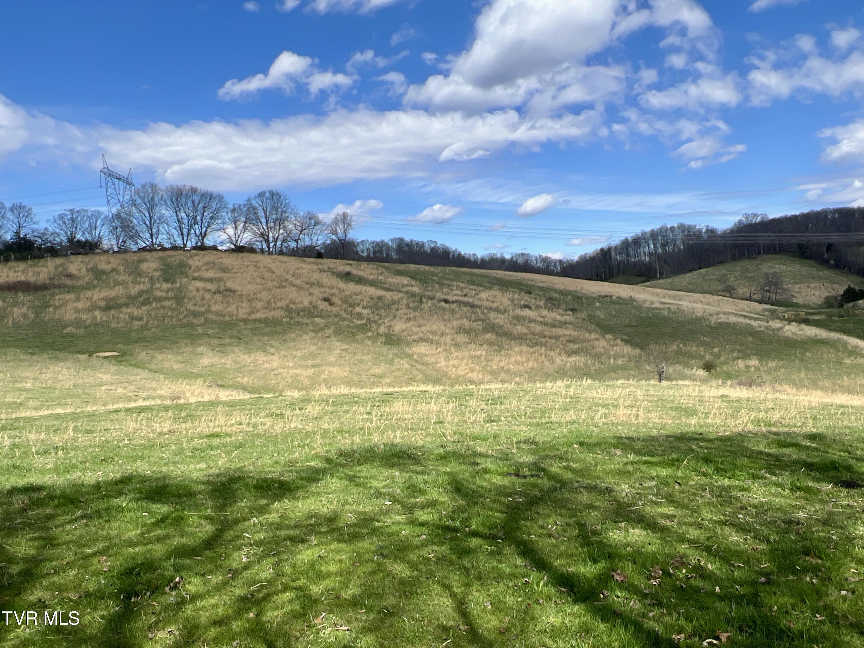 88/Ac Tbd Hwy 93, Fall Branch, Tennessee image 19