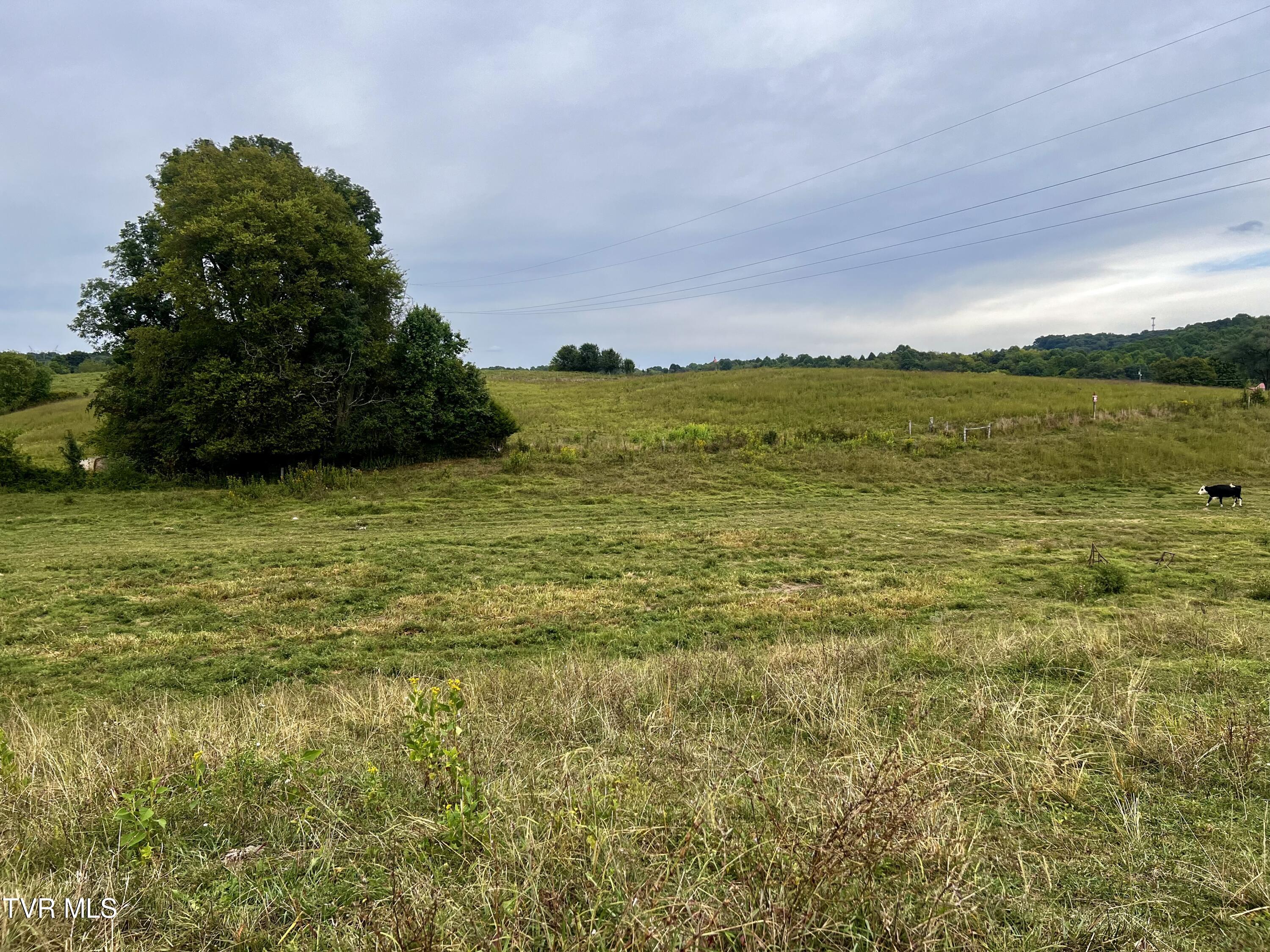 88/Ac Tbd Hwy 93, Fall Branch, Tennessee image 42