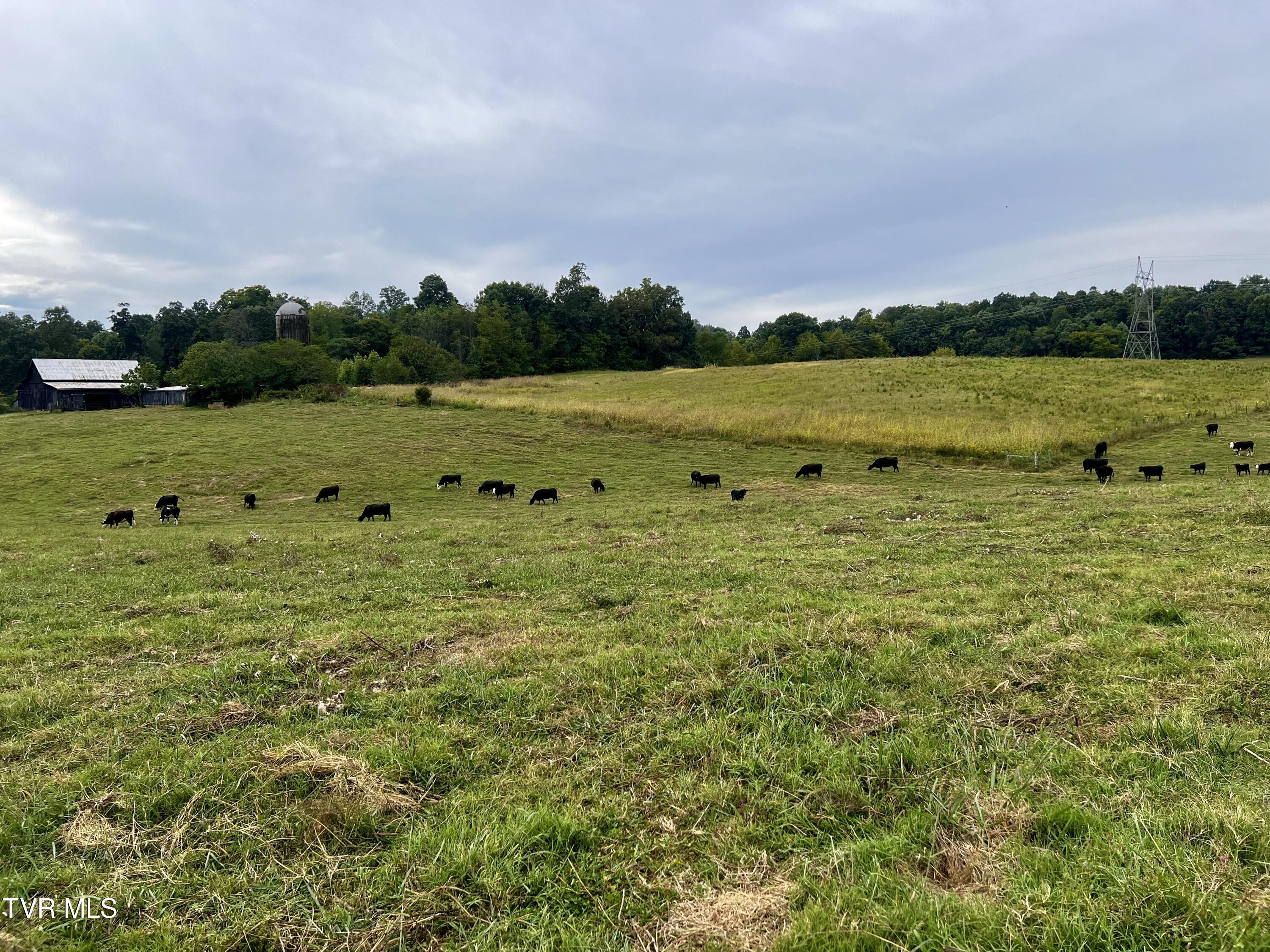 88/Ac Tbd Hwy 93, Fall Branch, Tennessee image 34