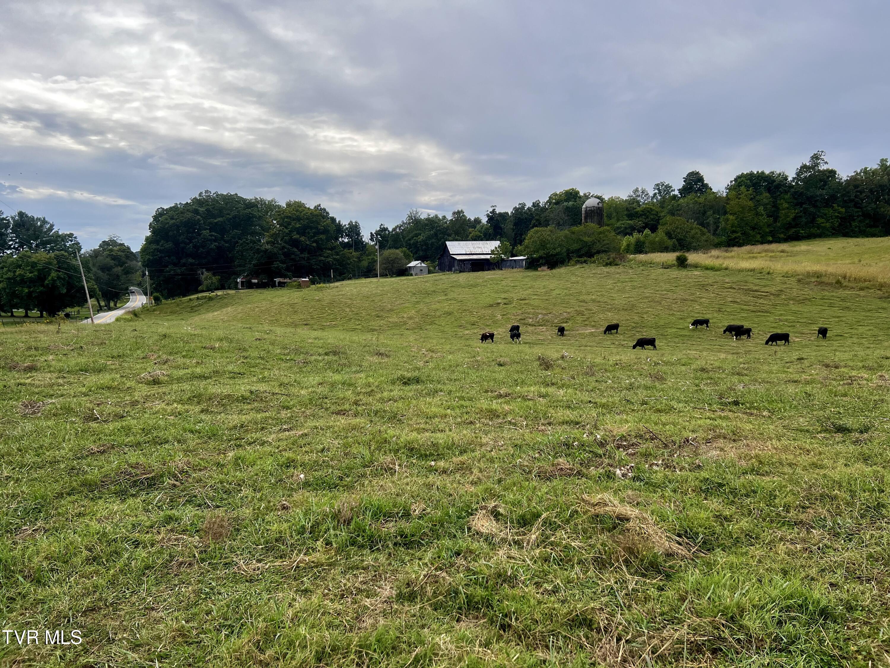 88/Ac Tbd Hwy 93, Fall Branch, Tennessee image 46
