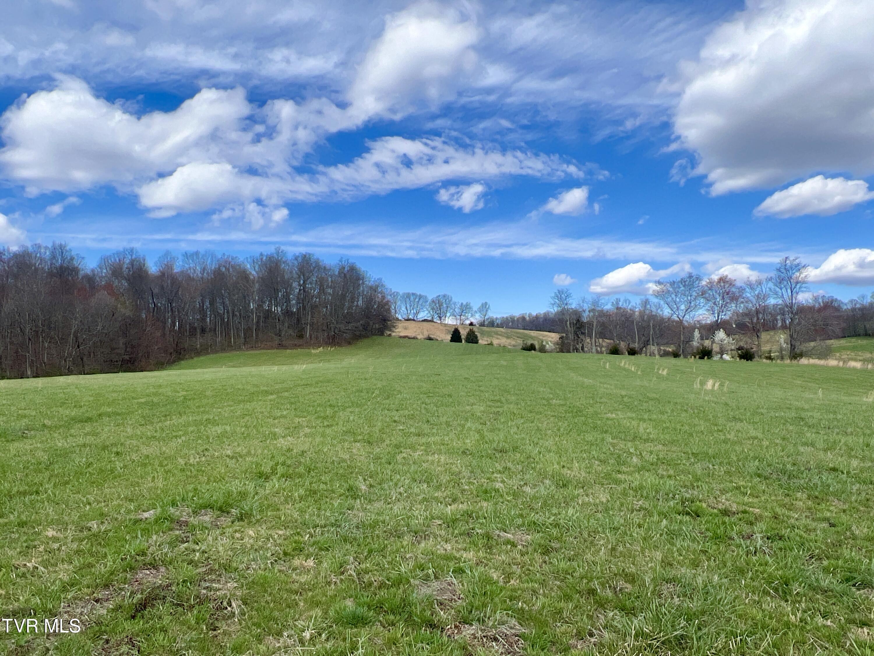88/Ac Tbd Hwy 93, Fall Branch, Tennessee image 17