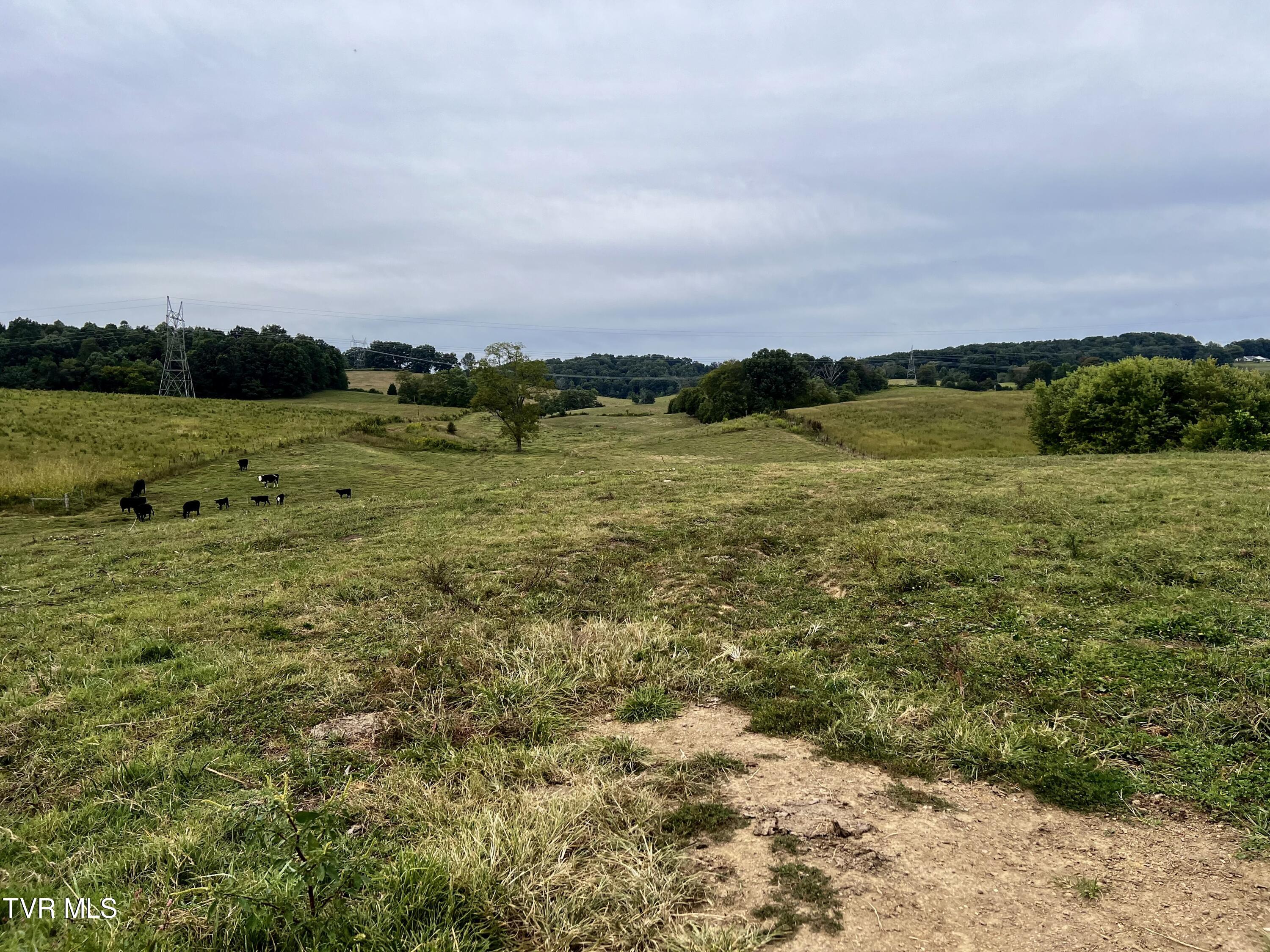 88/Ac Tbd Hwy 93, Fall Branch, Tennessee image 45