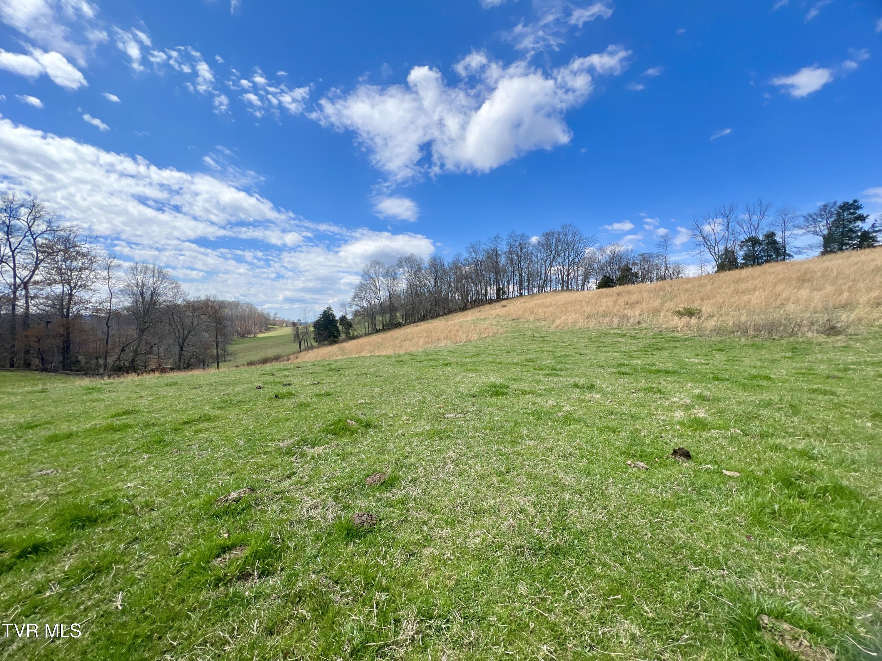 88/Ac Tbd Hwy 93, Fall Branch, Tennessee image 25