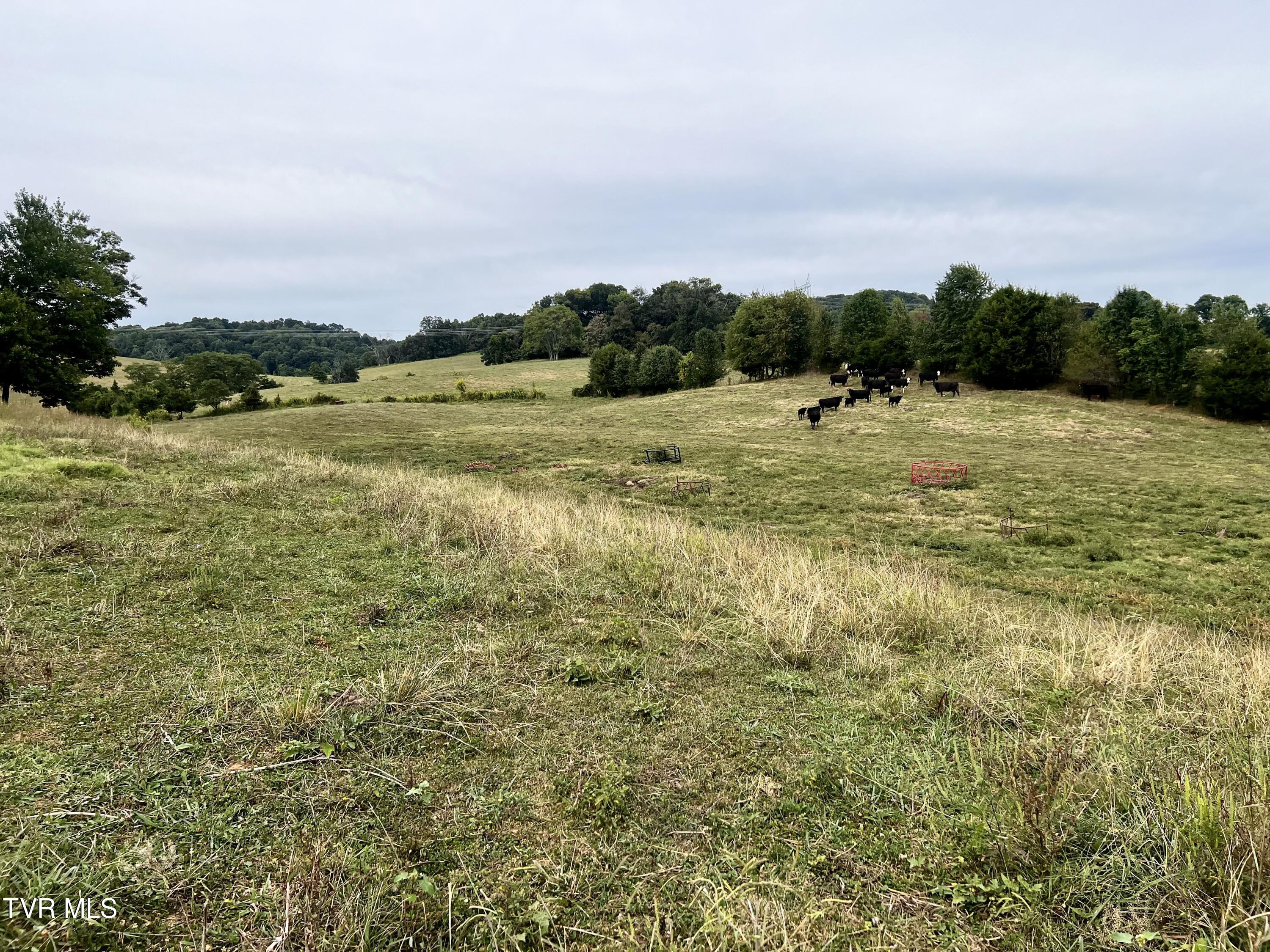 88/Ac Tbd Hwy 93, Fall Branch, Tennessee image 40