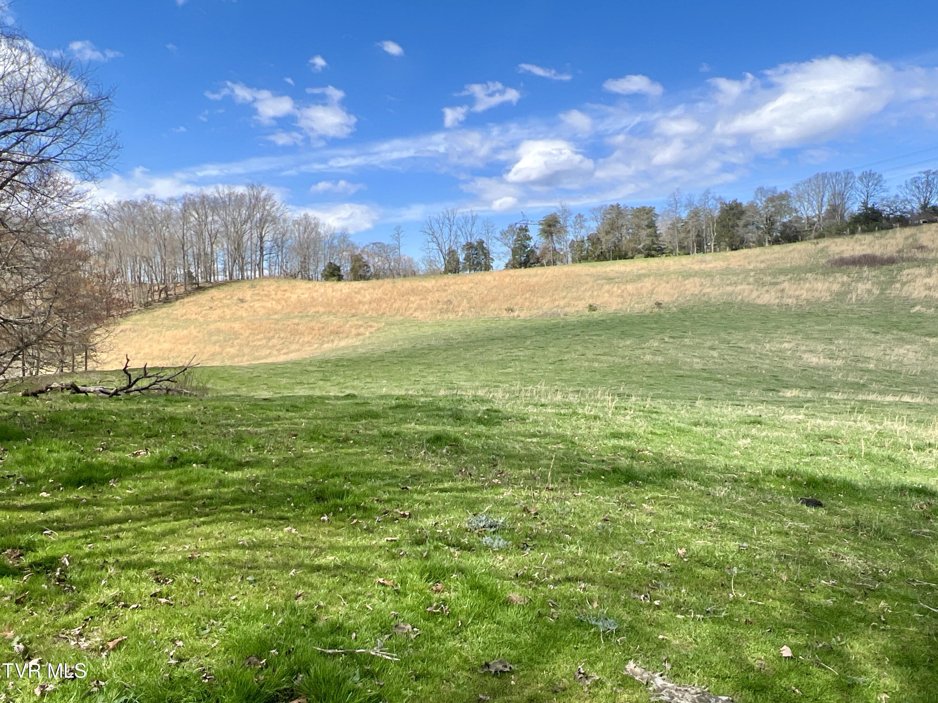 88/Ac Tbd Hwy 93, Fall Branch, Tennessee image 20